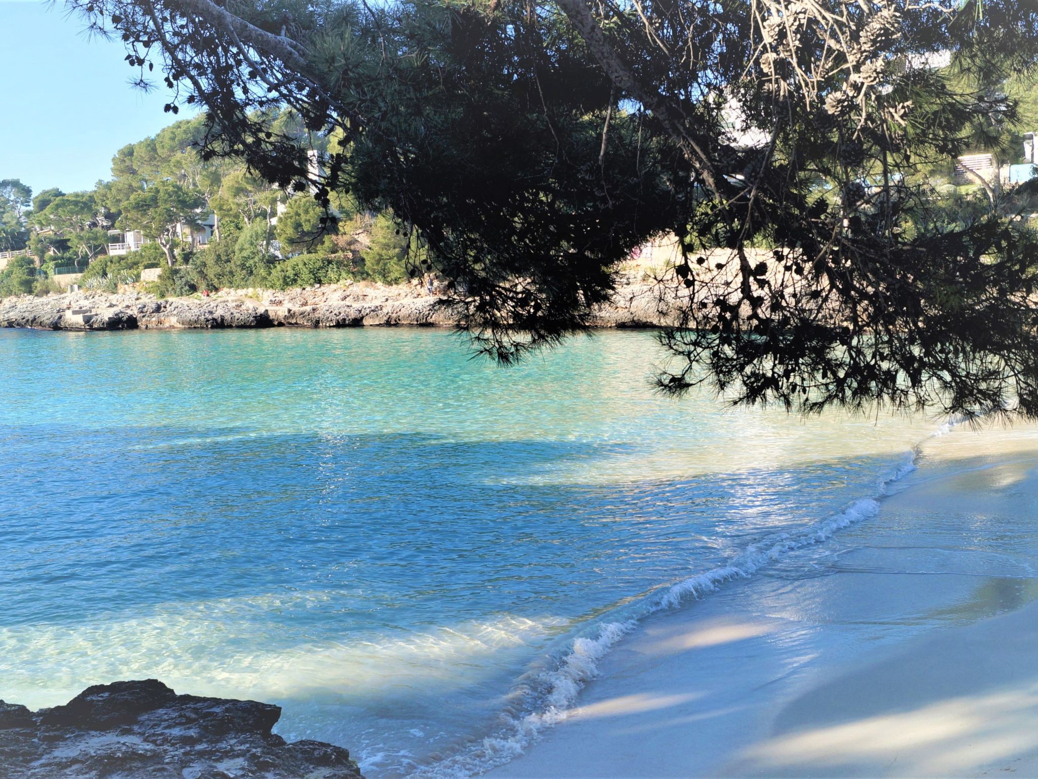 Bungalow con piscina-Binnen