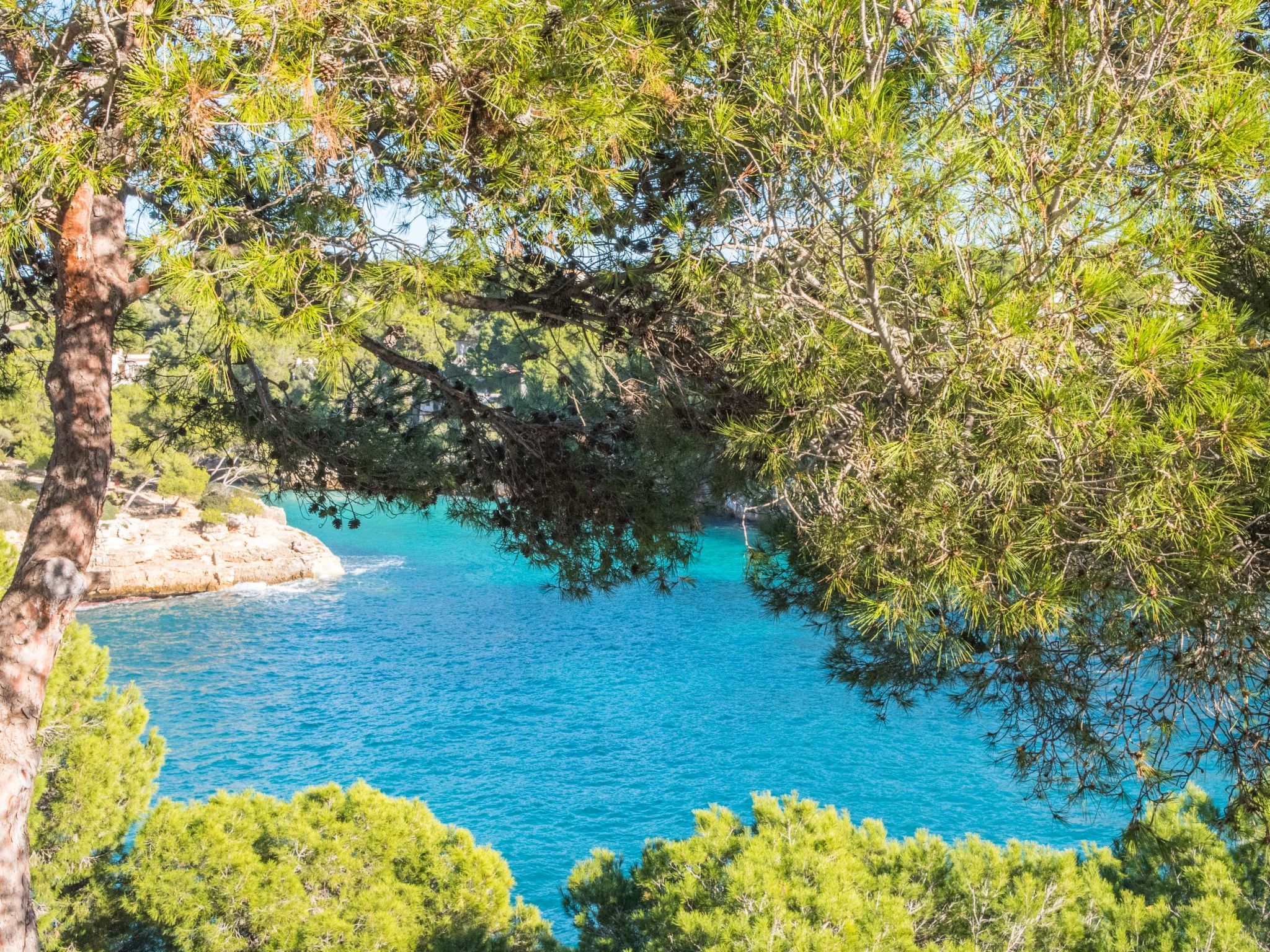 Ferrera Park 306-Image-tags.info