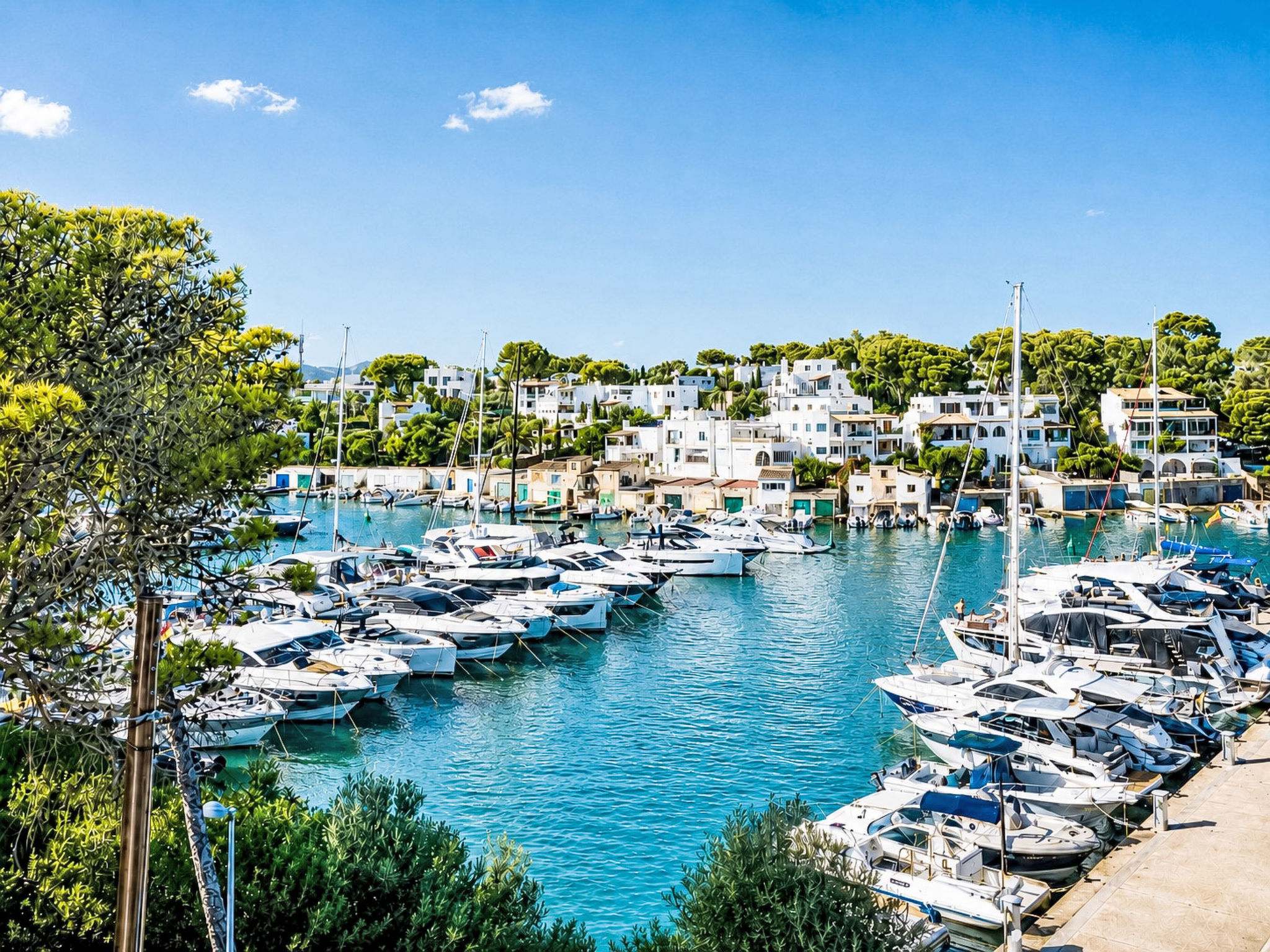 Photo of Riviera