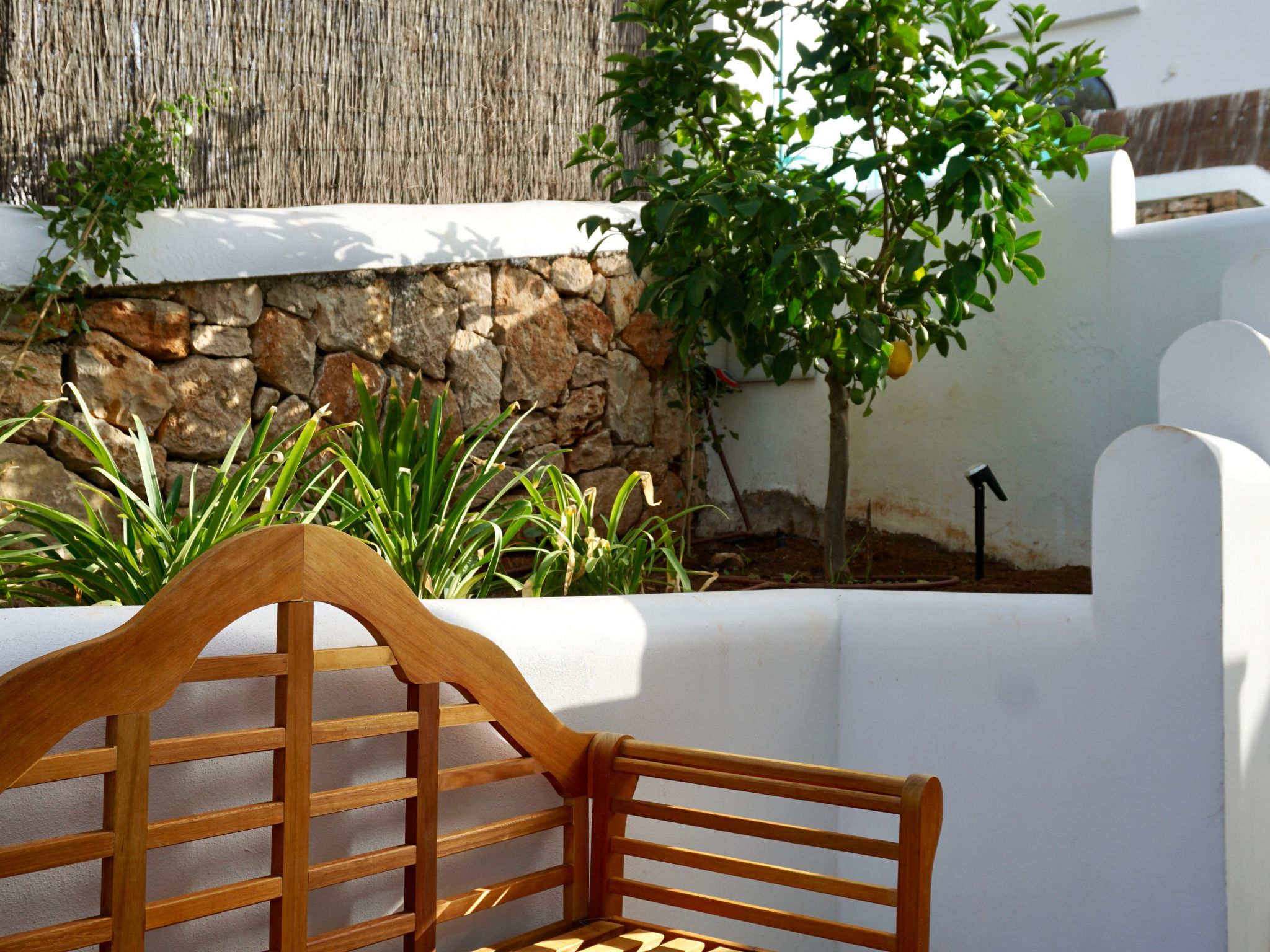 Riviera-Image-tags.info