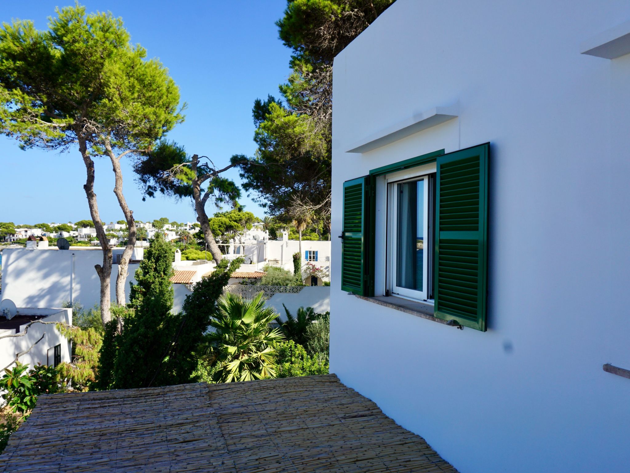 Riviera-Image-tags.info