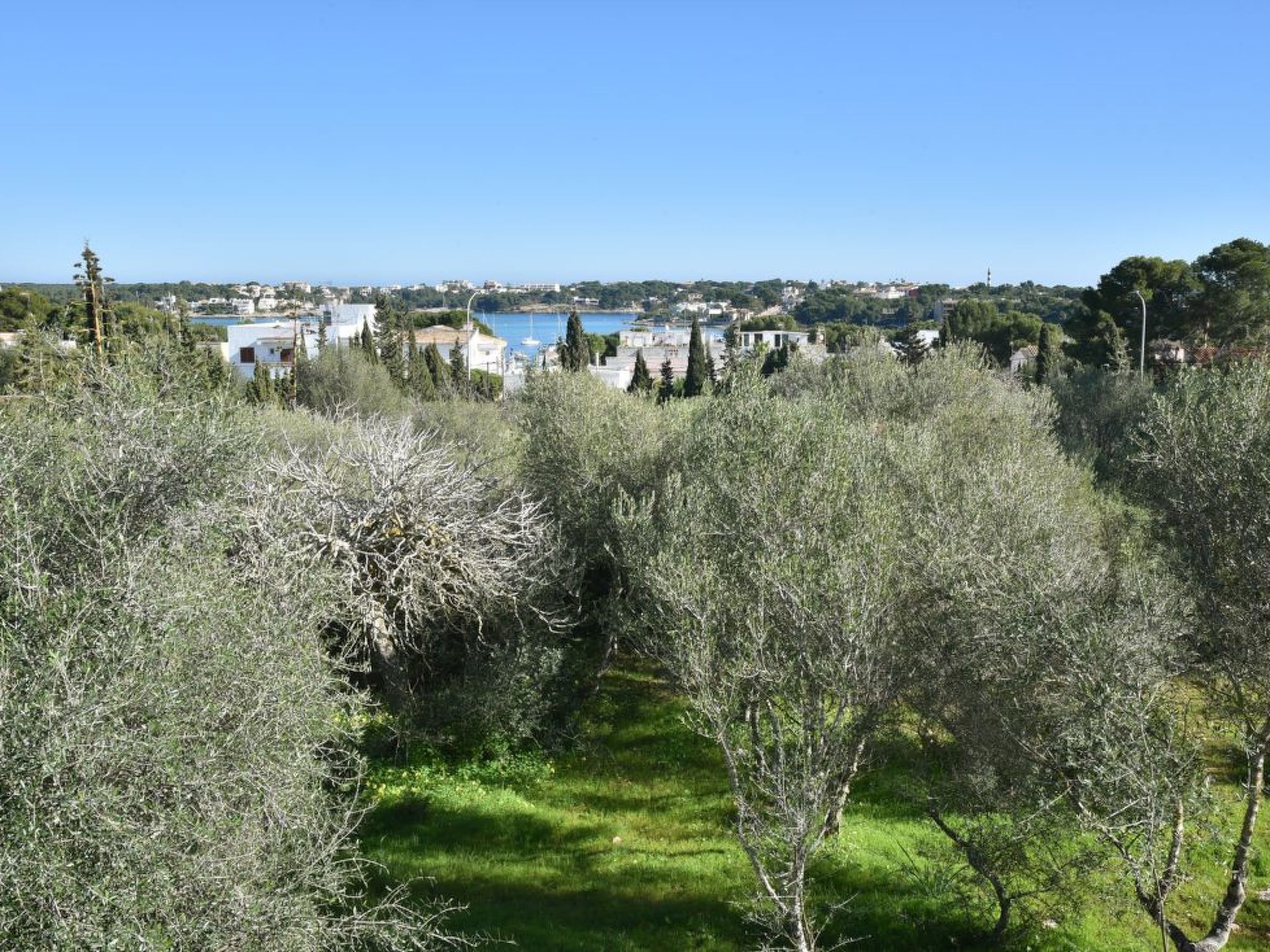 Corso-Image-tags.info