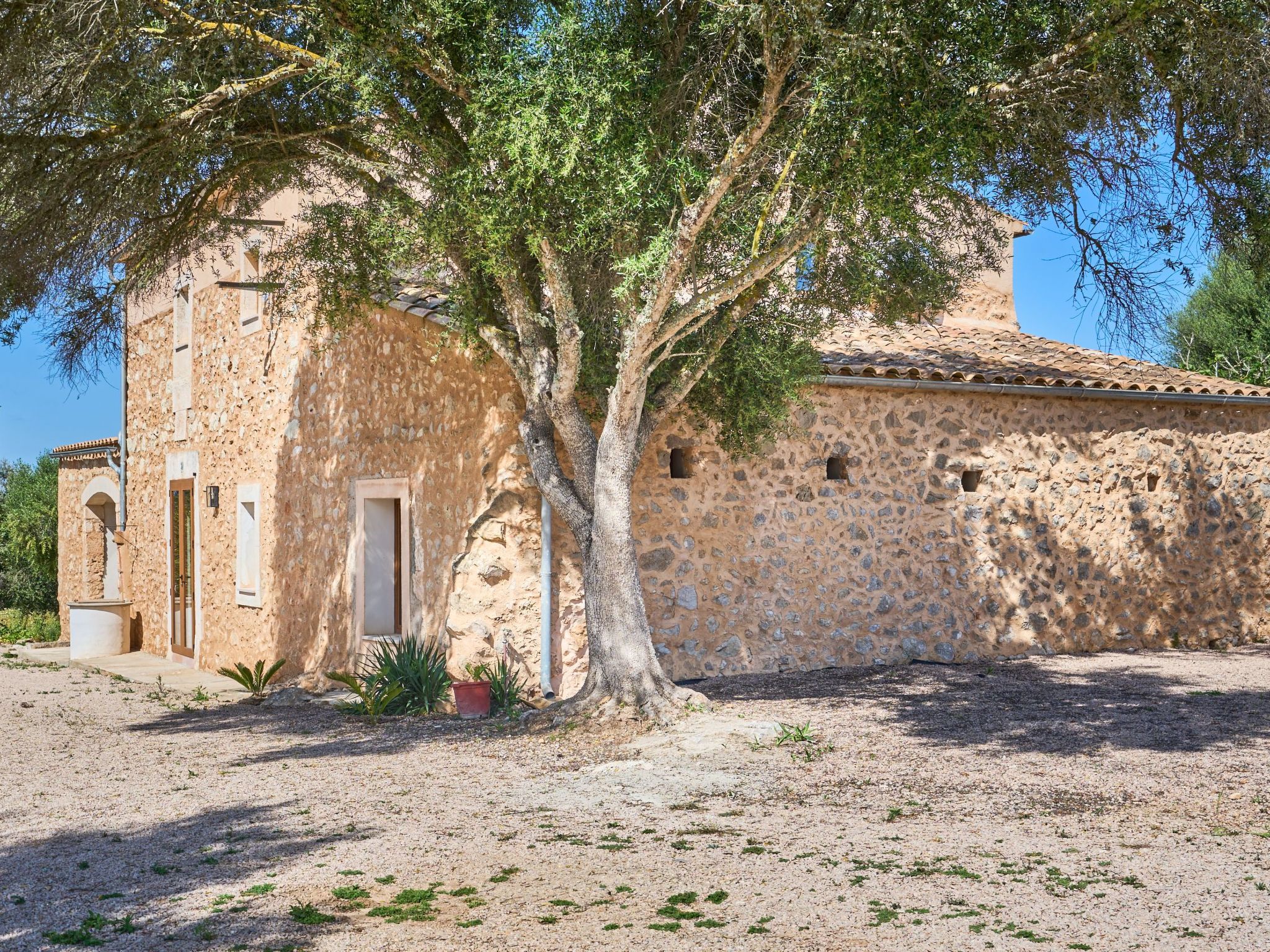 Galeri-Image-tags.info