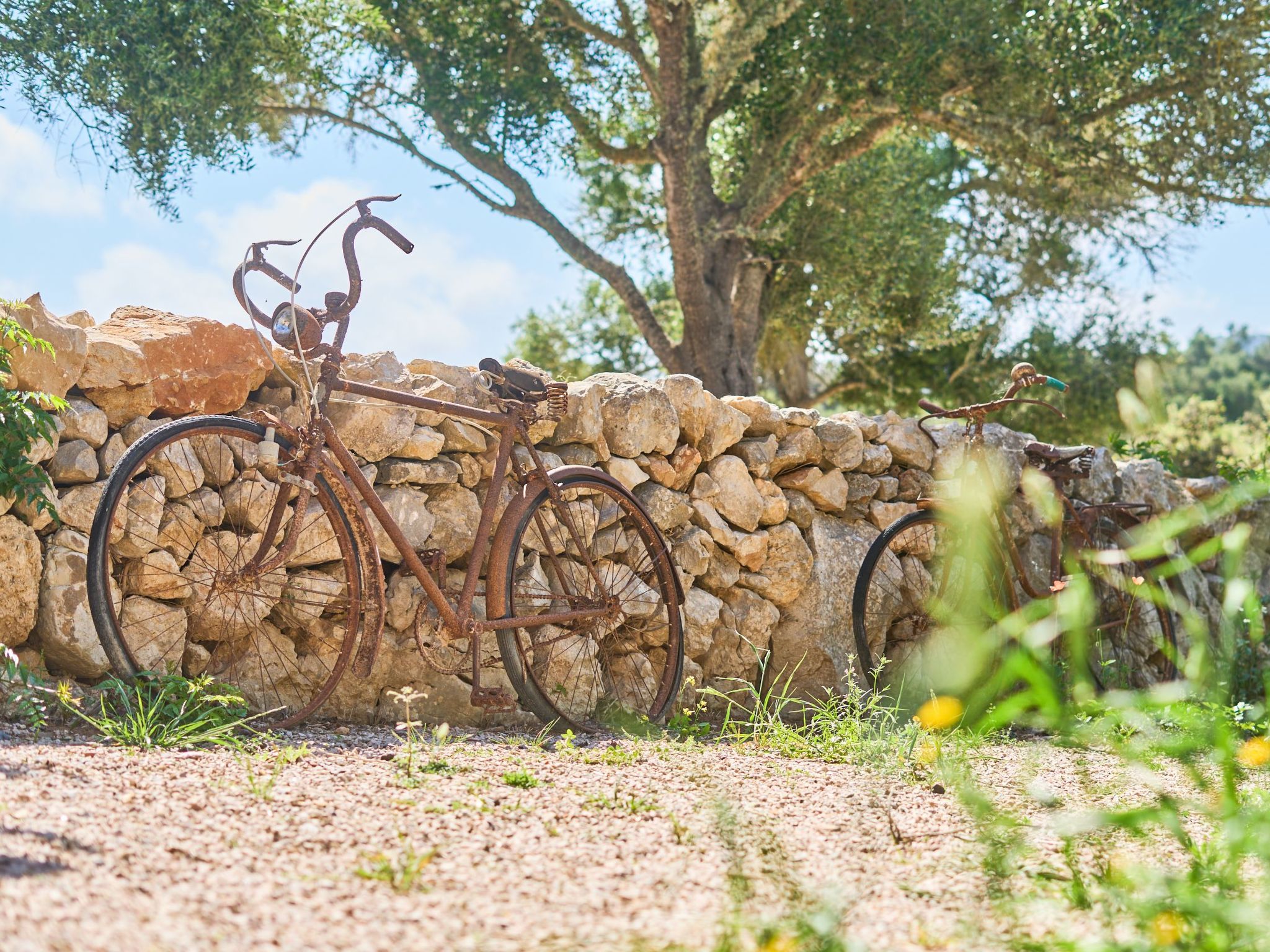 Galeri-Image-tags.info