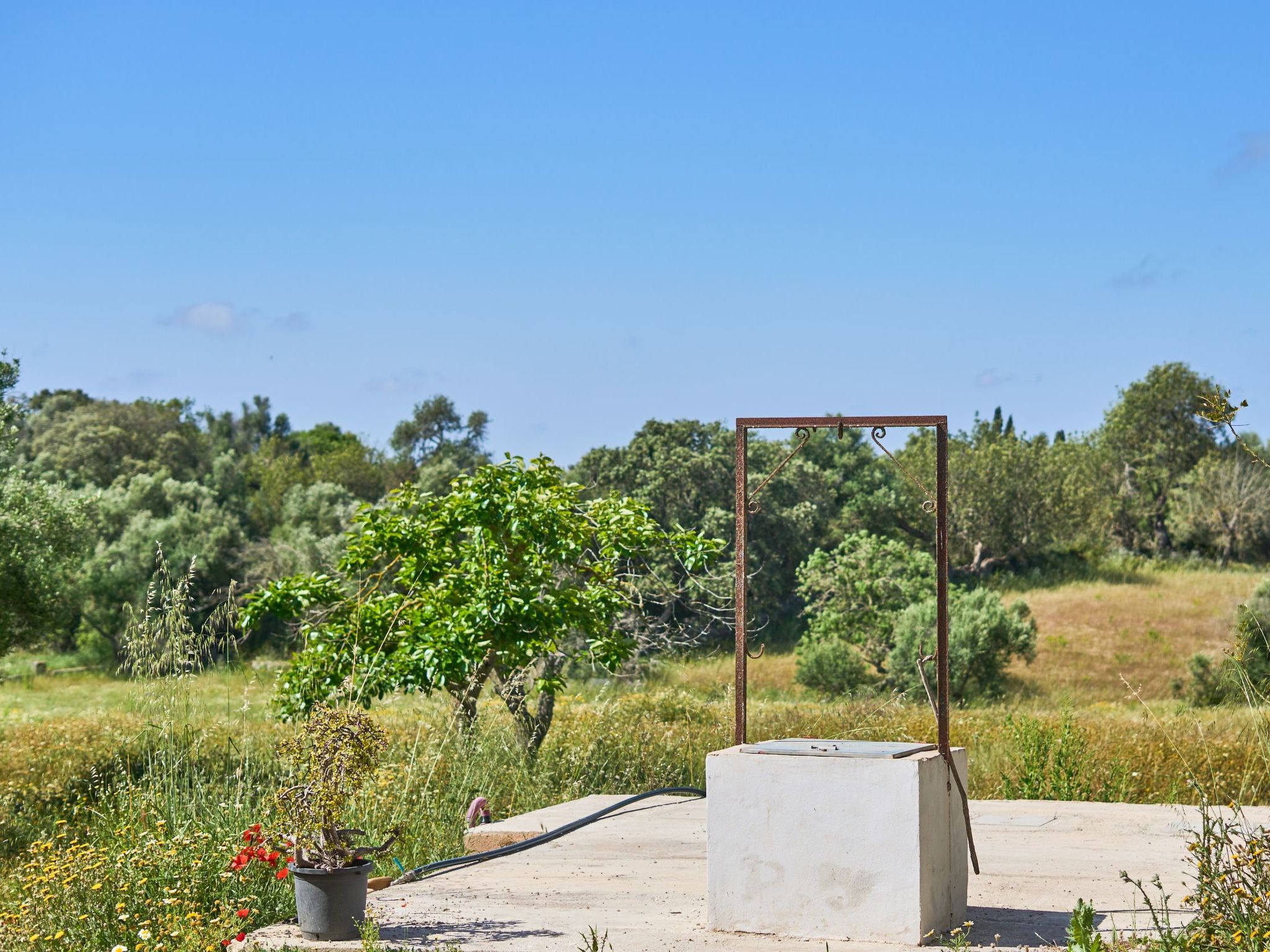 Galeri-Image-tags.info