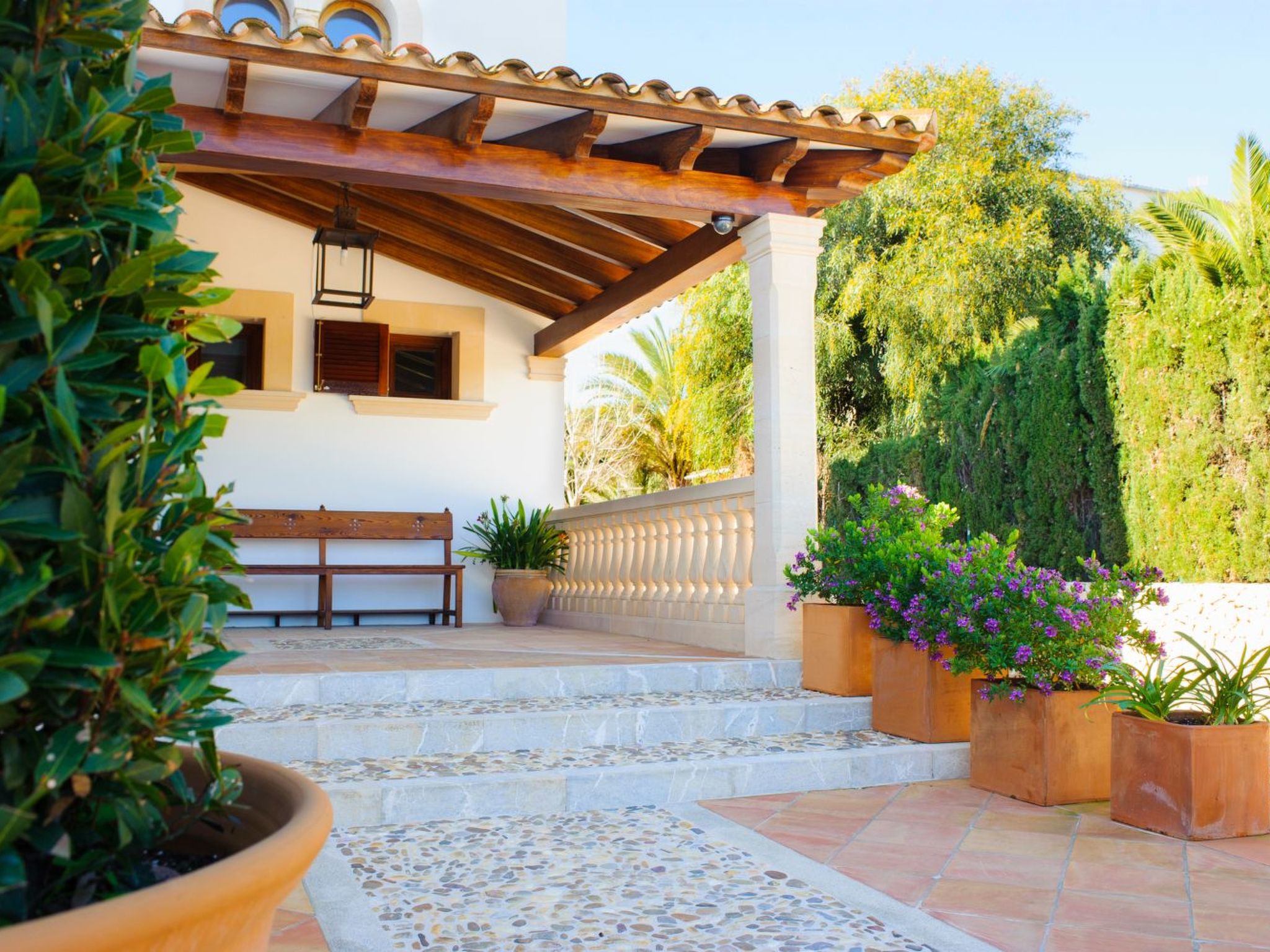 Rico-Image-tags.info