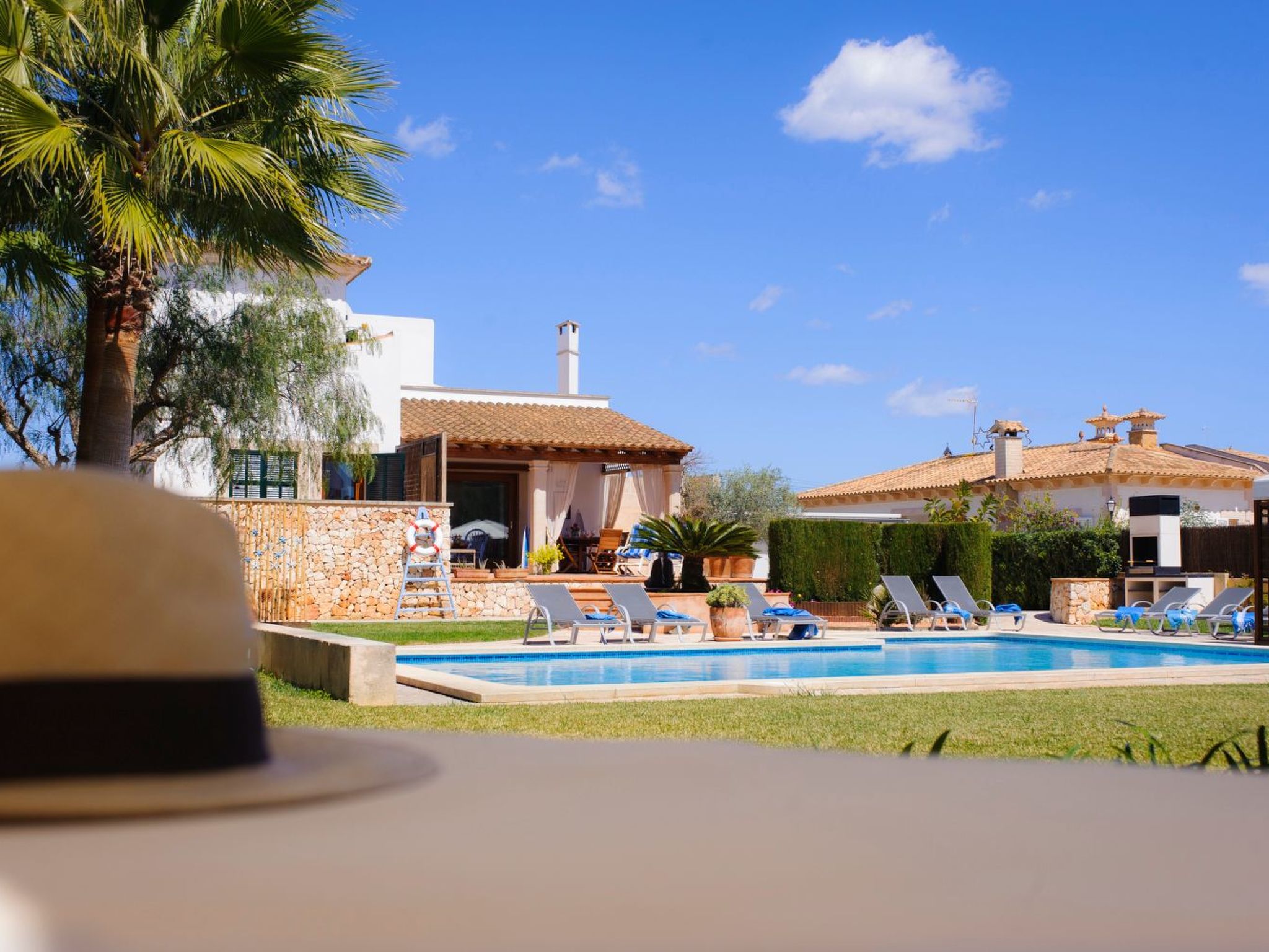 Rico-Image-tags.info