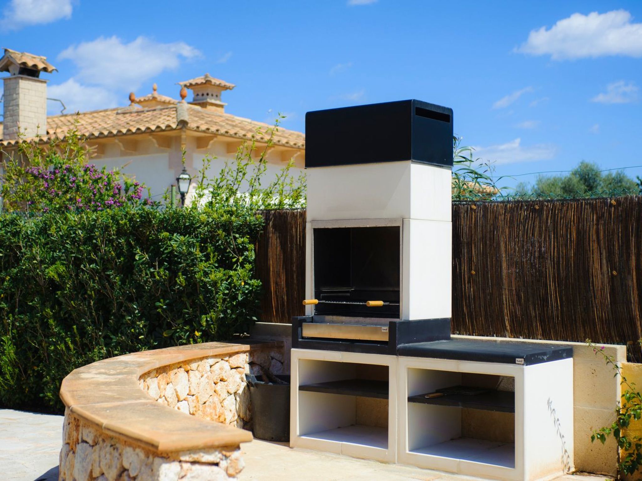 Rico-Image-tags.info