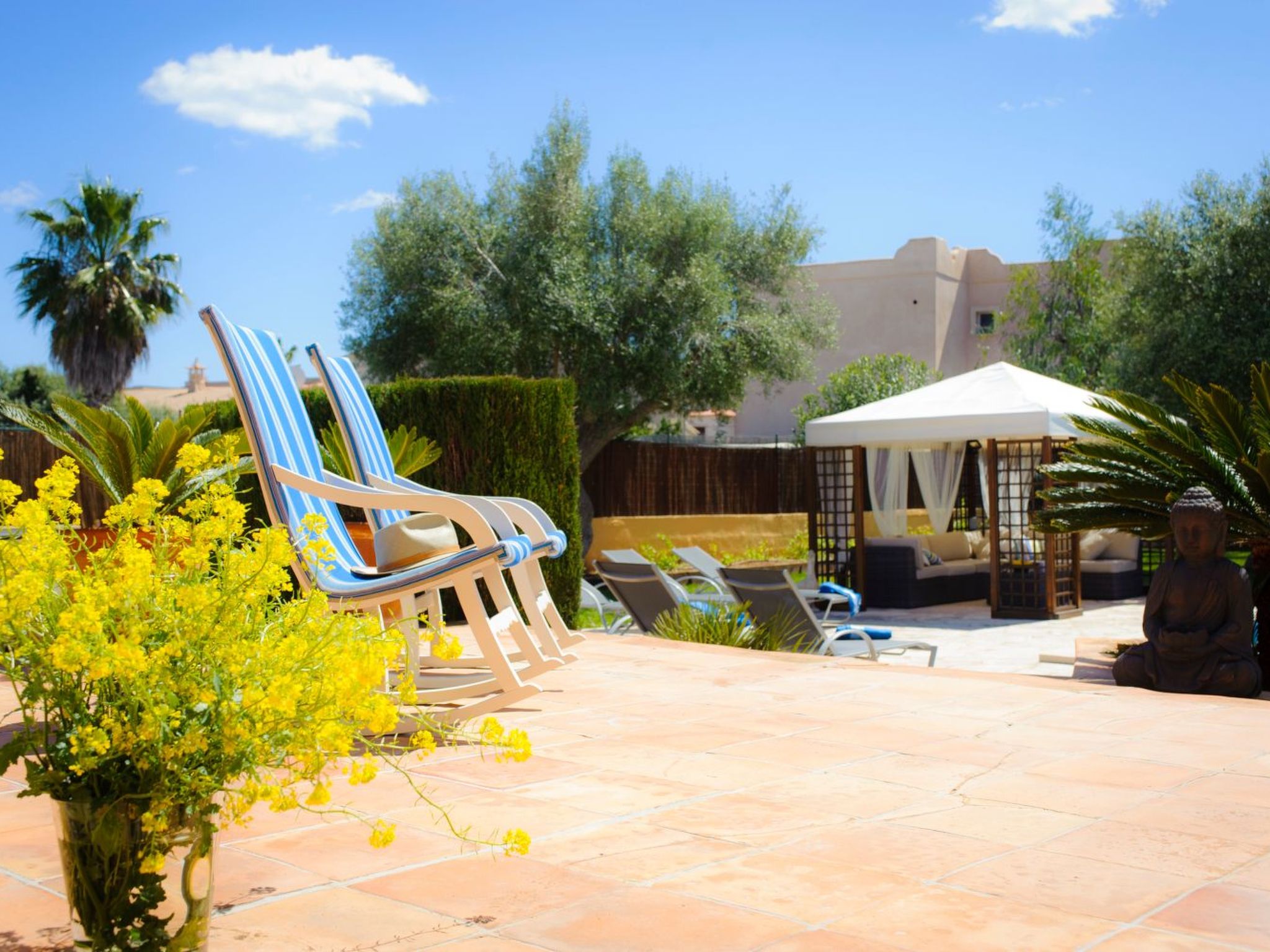 Rico-Image-tags.info