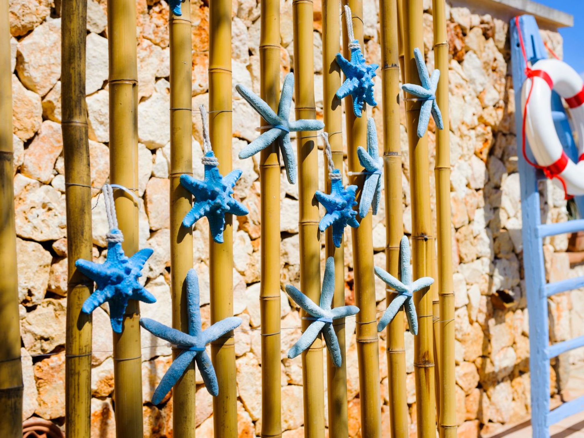 Rico-Image-tags.info