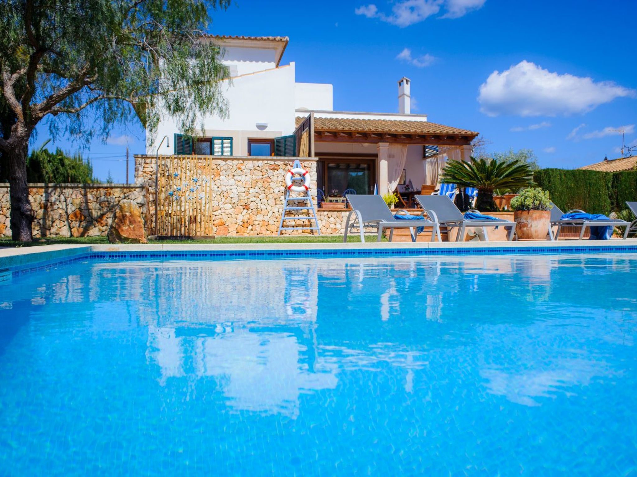 Rico-Image-tags.info