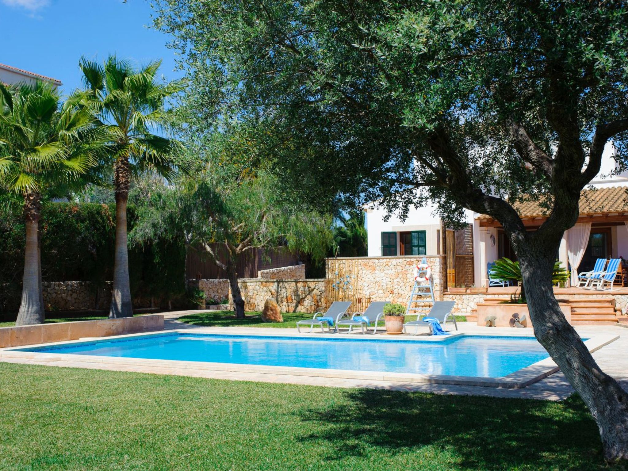 Rico-Image-tags.info