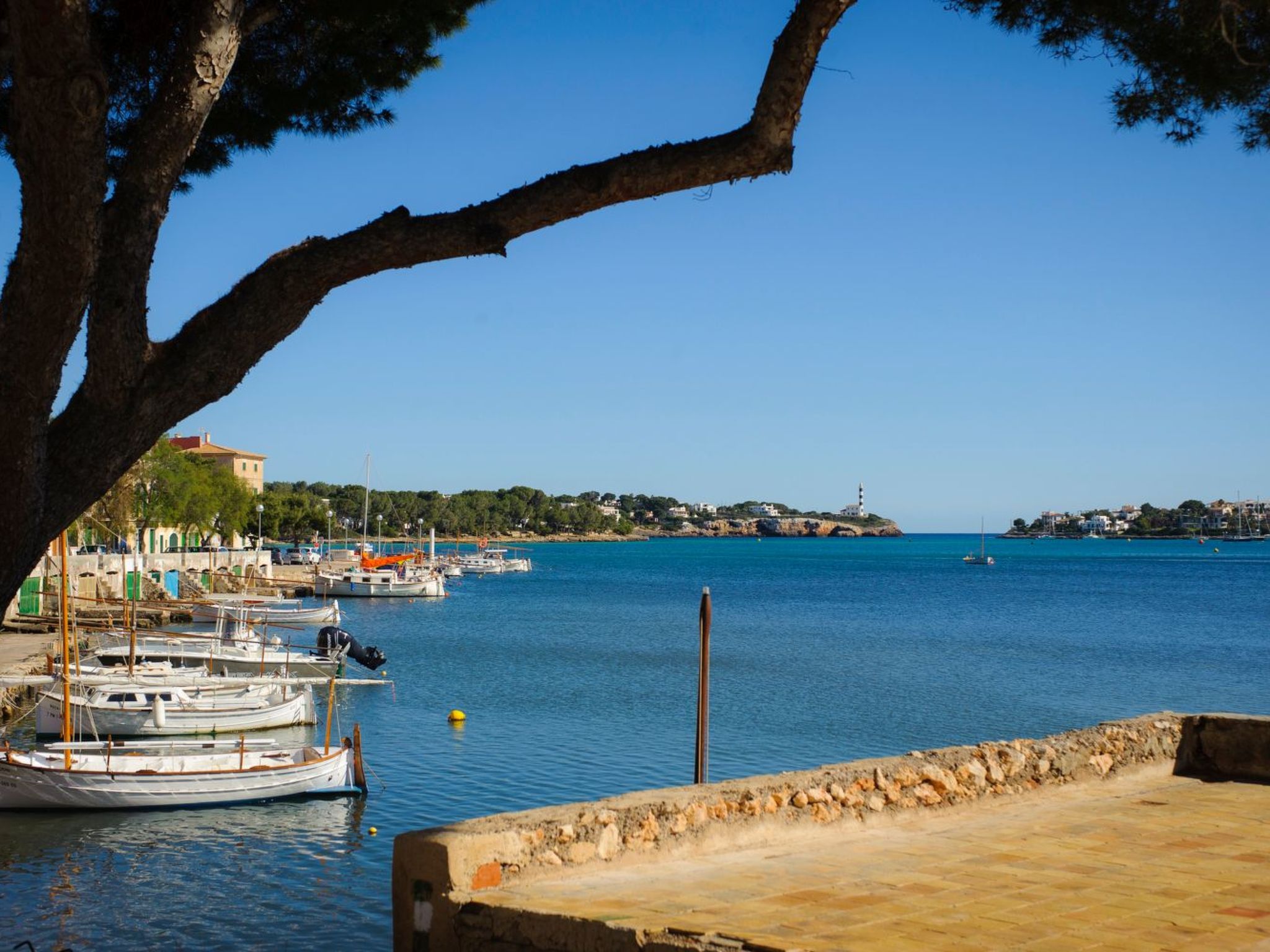 Rico-Image-tags.info