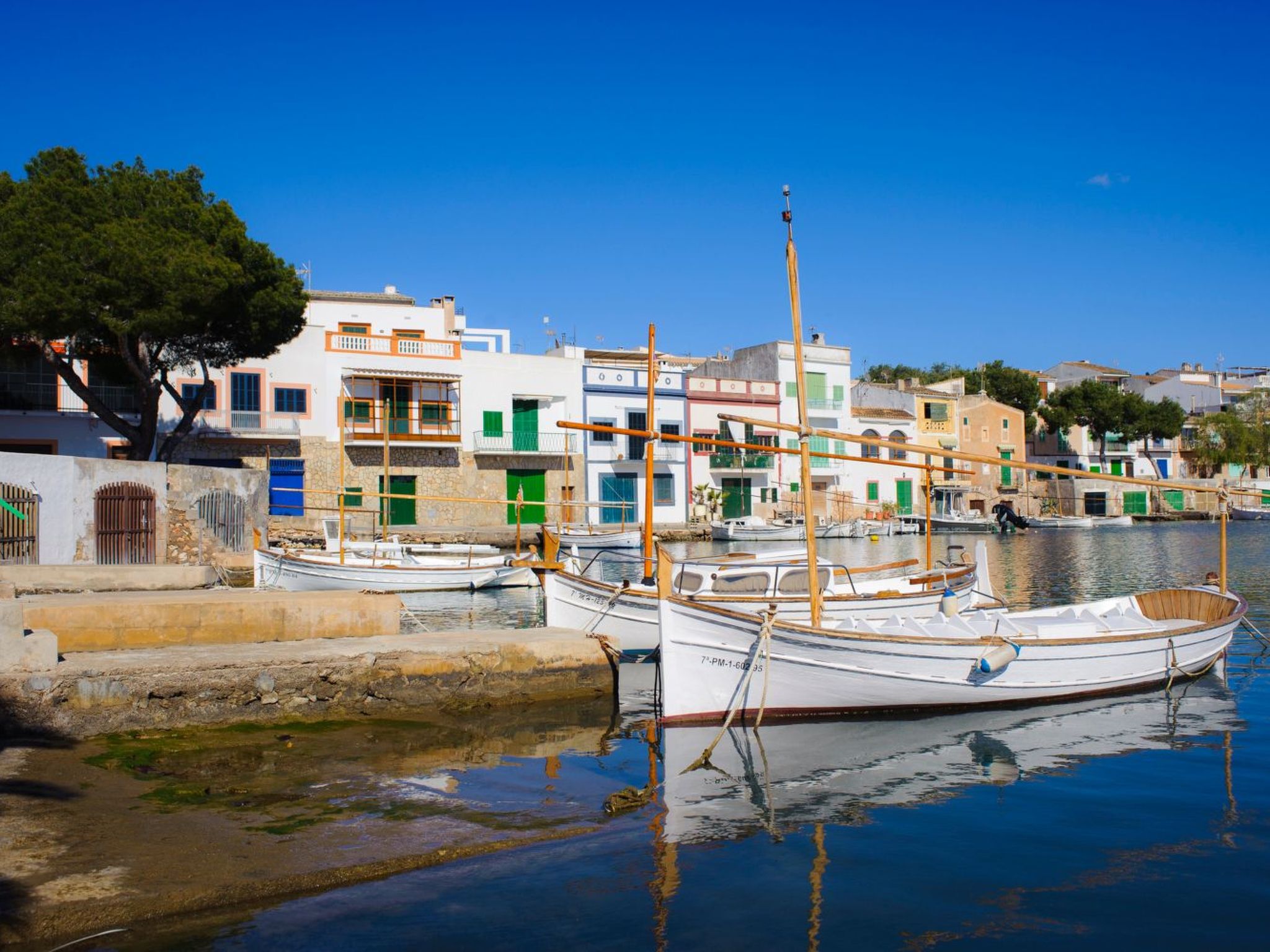 Rico-Image-tags.info