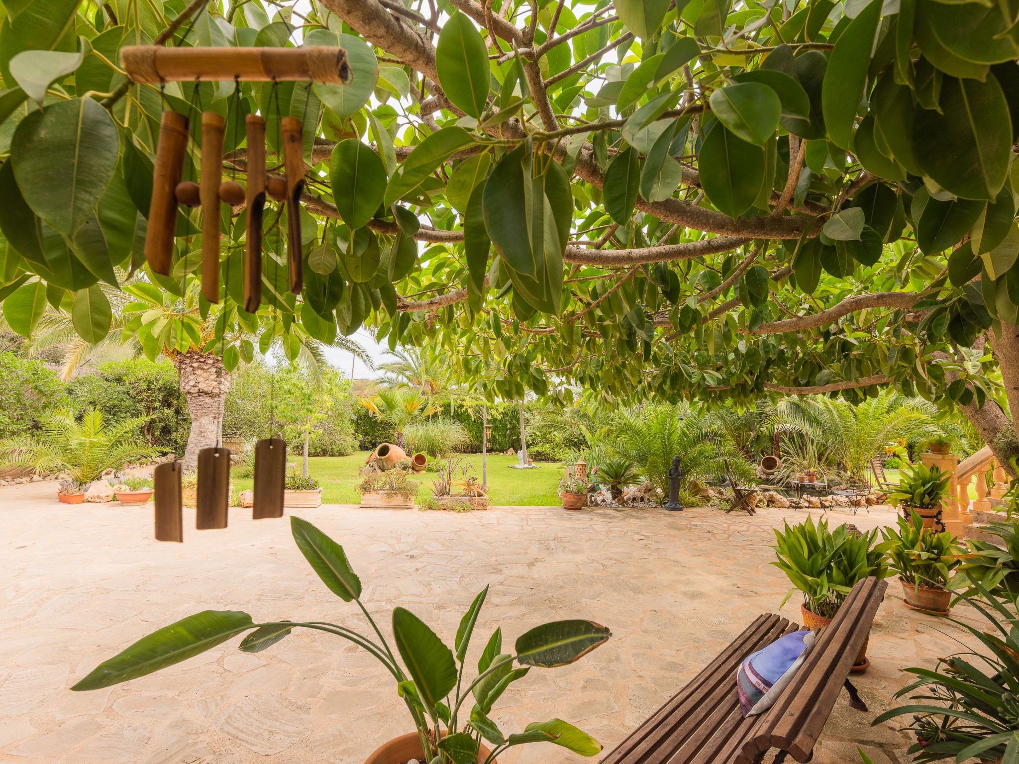 Dolce Vita-Image-tags.info