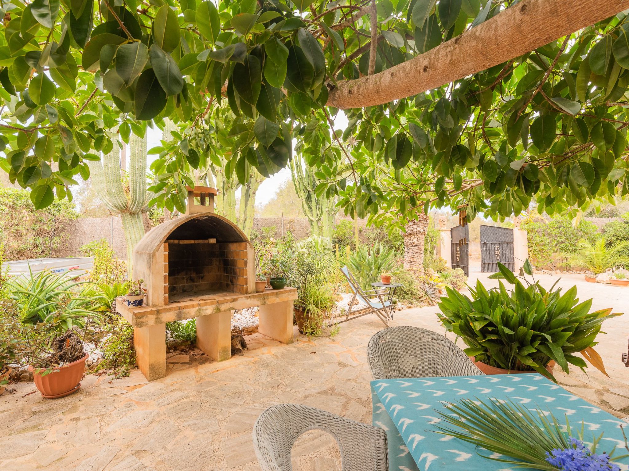 Dolce Vita-Image-tags.info