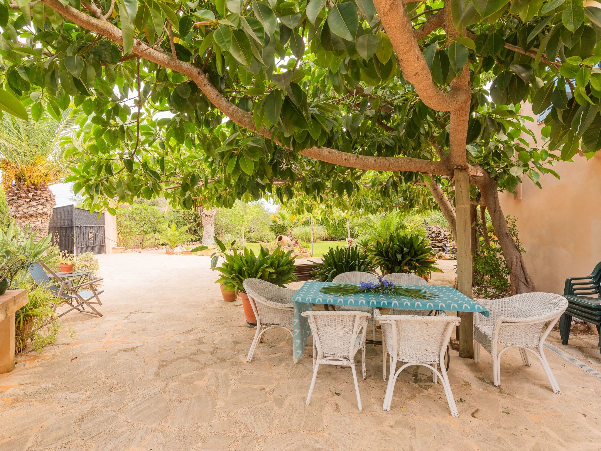 Dolce Vita-Image-tags.info