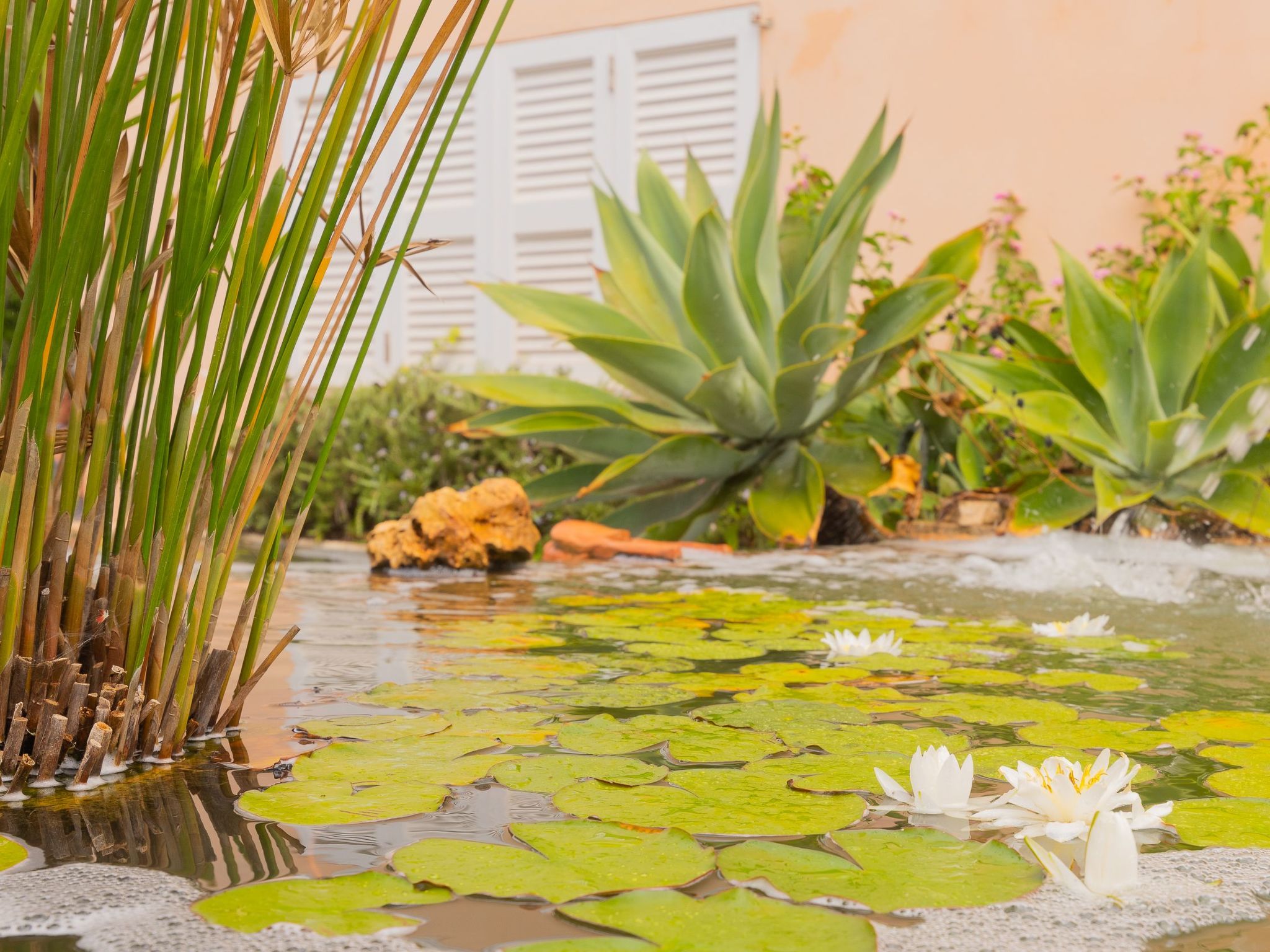 Dolce Vita-Image-tags.info