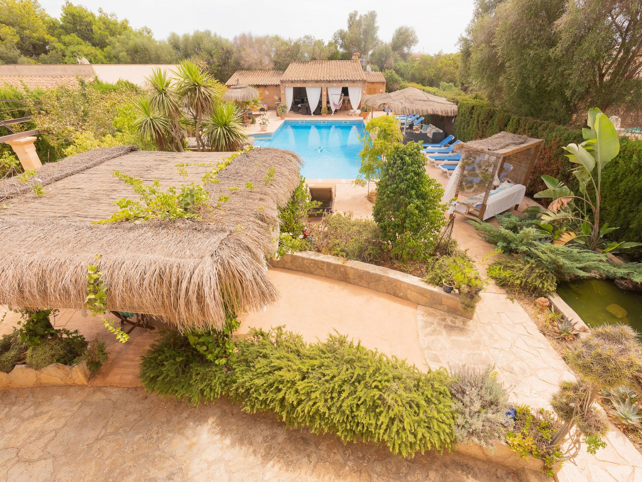 Dolce Vita-Image-tags.info