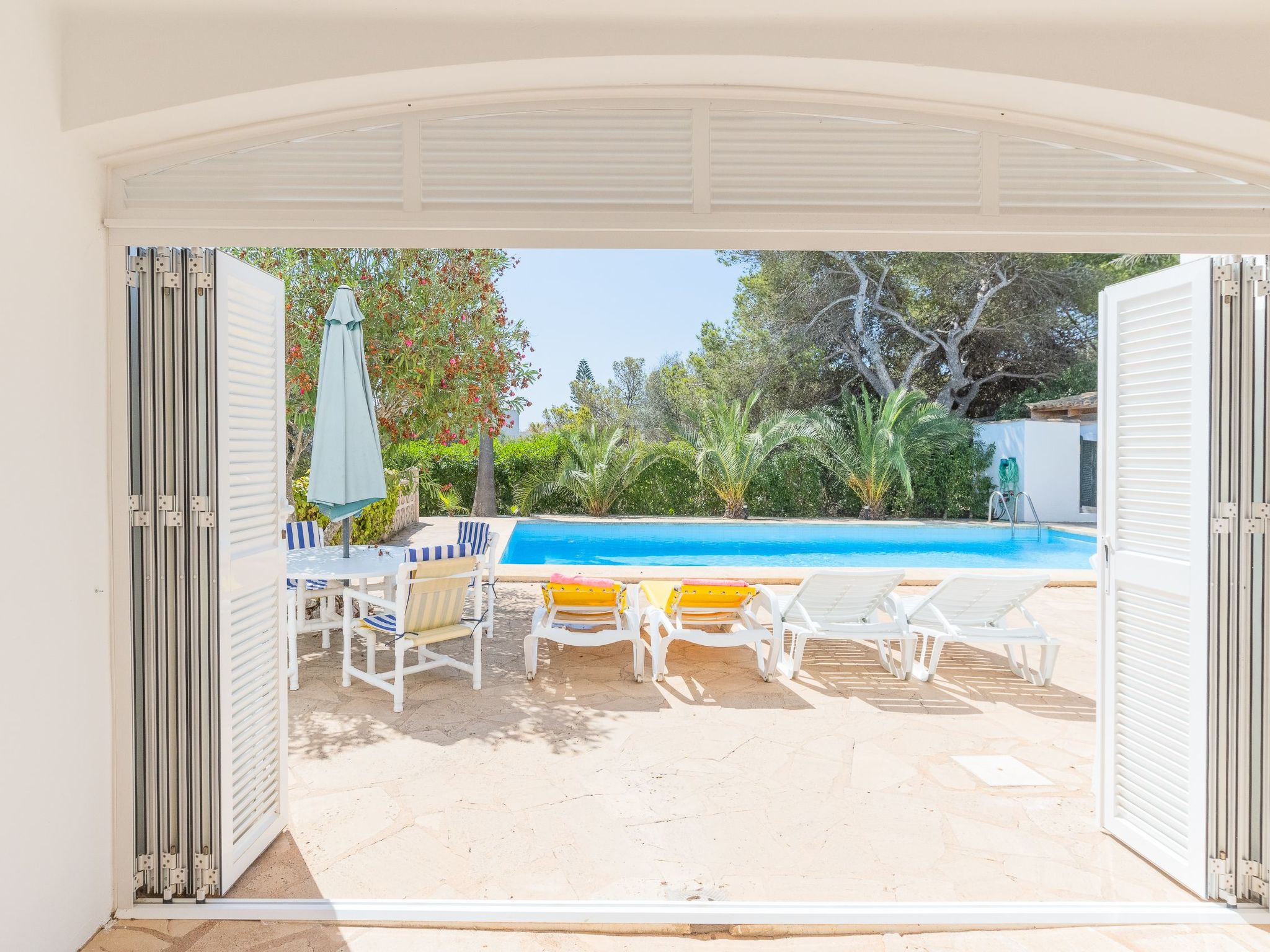 Lucia-Image-tags.info