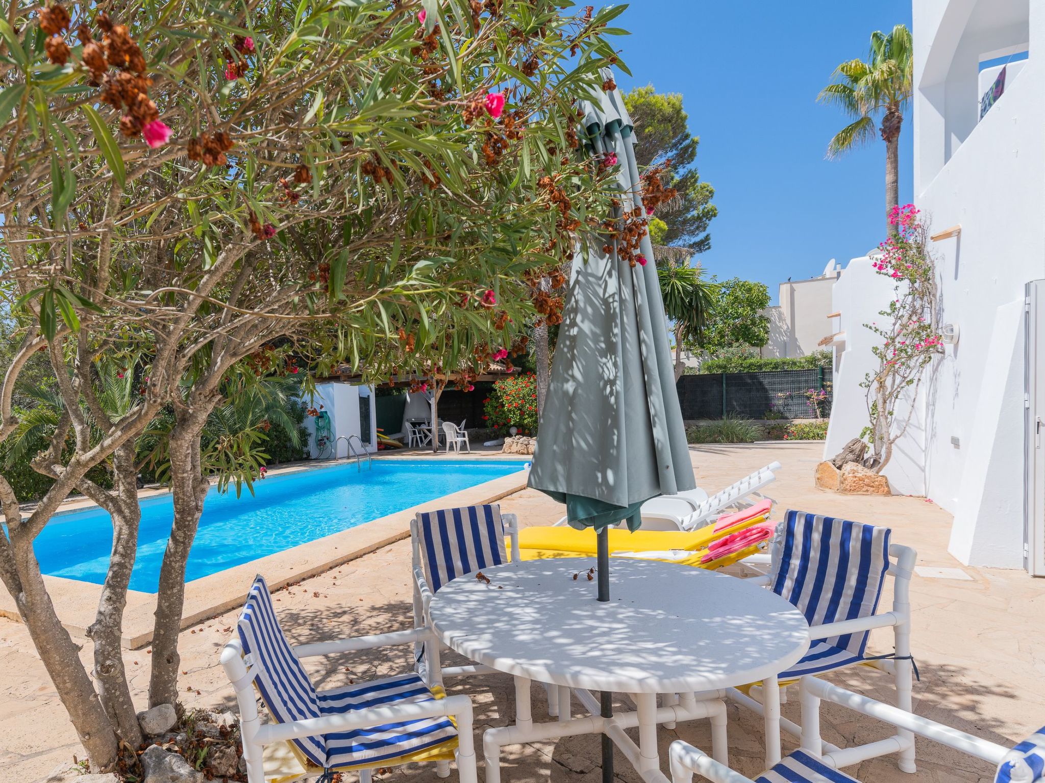 Lucia-Image-tags.info