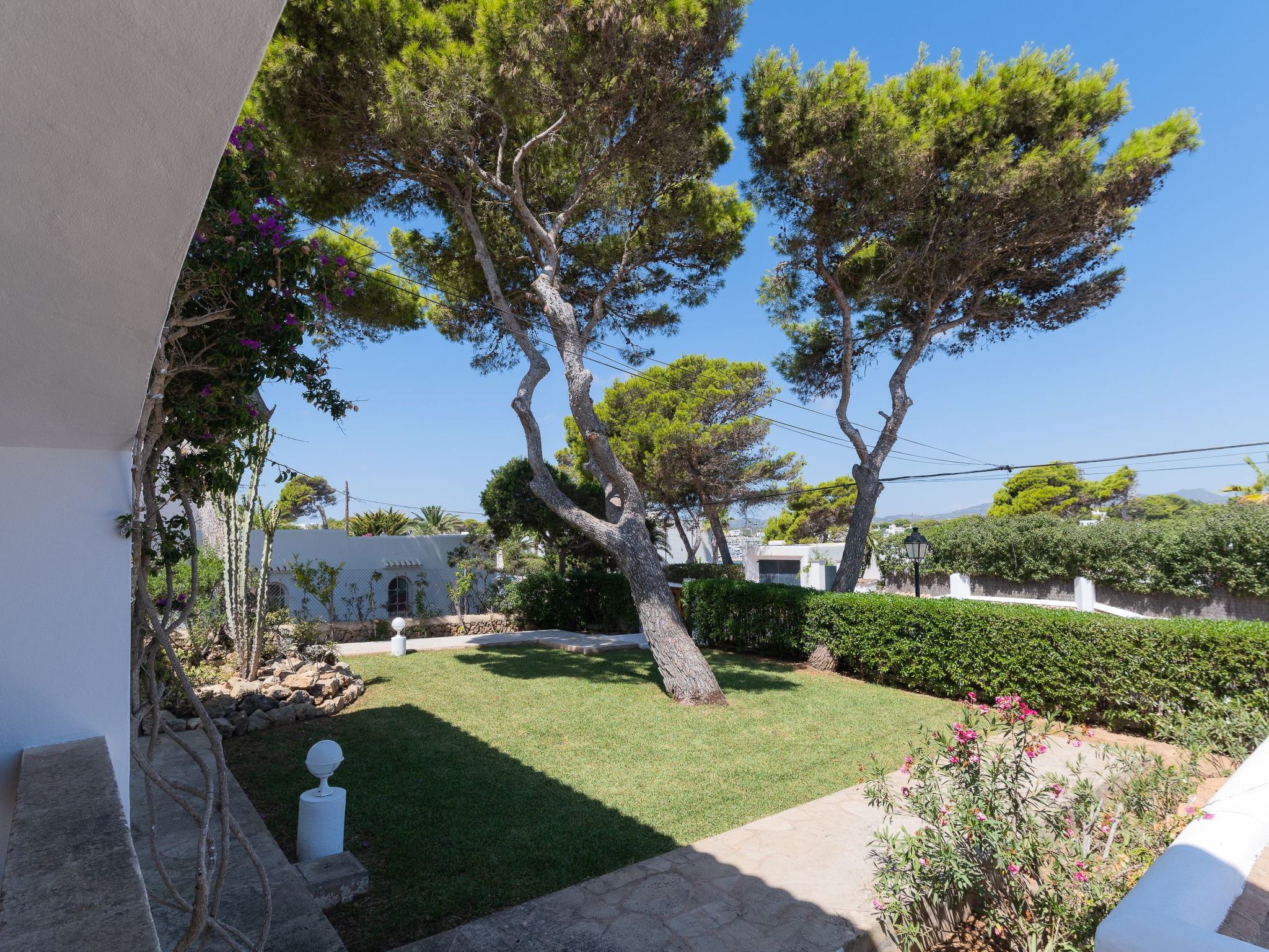 Lucia-Image-tags.info