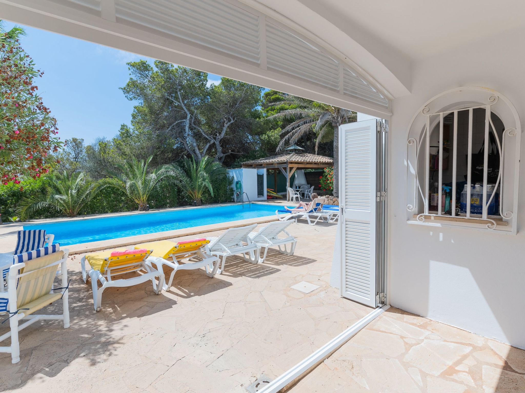 Lucia-Image-tags.info