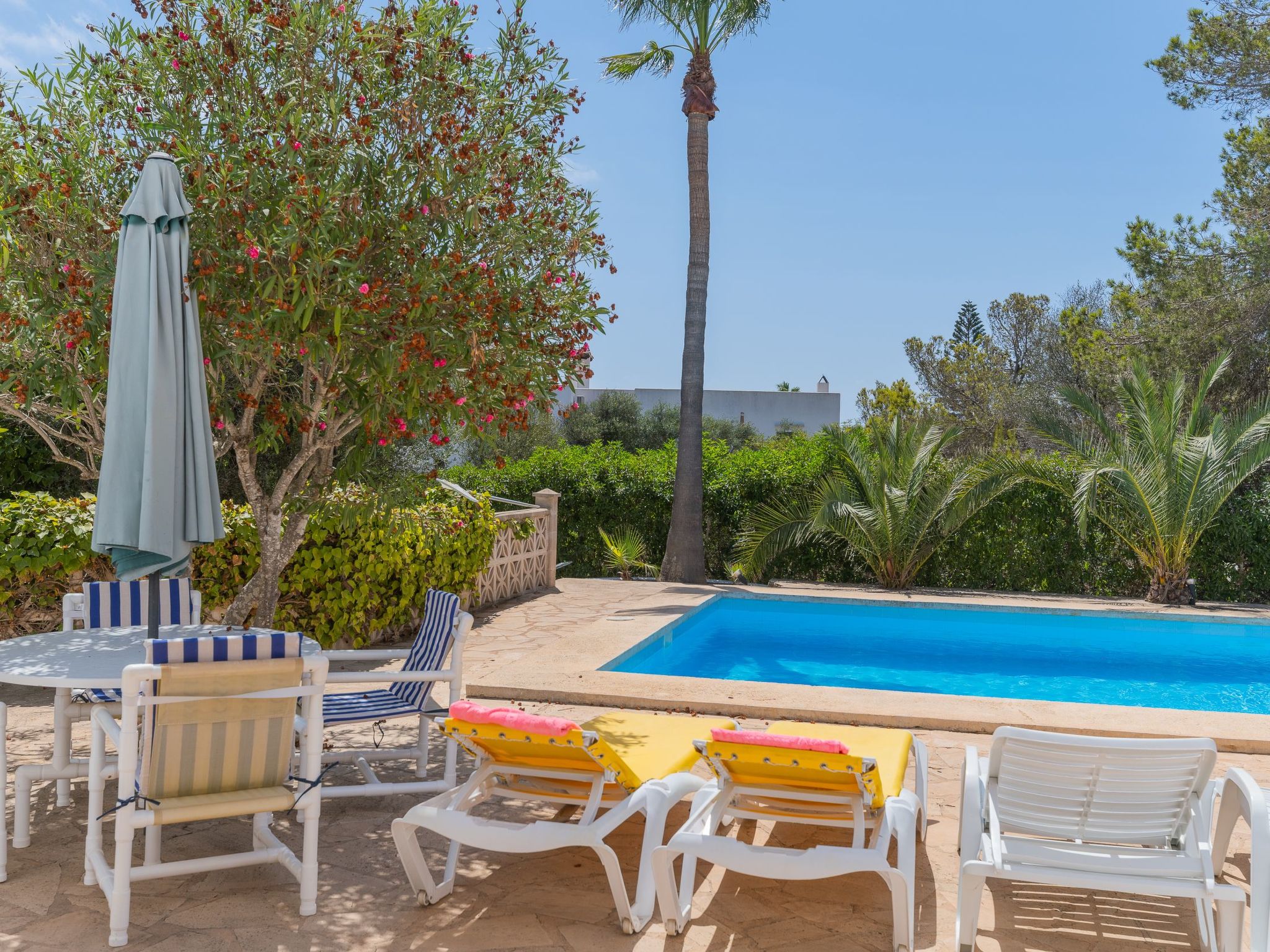 Lucia-Image-tags.info