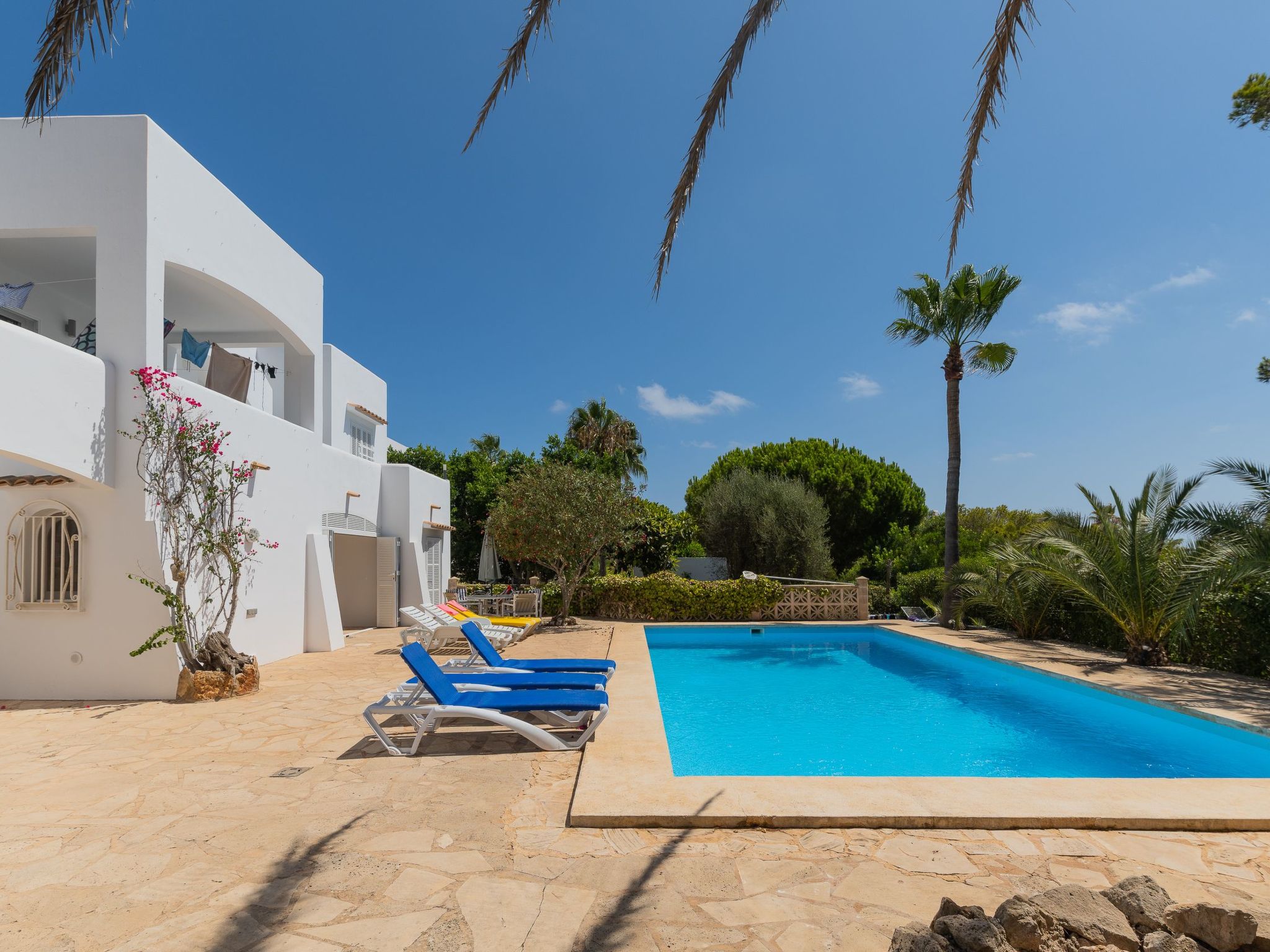 Lucia-Image-tags.info