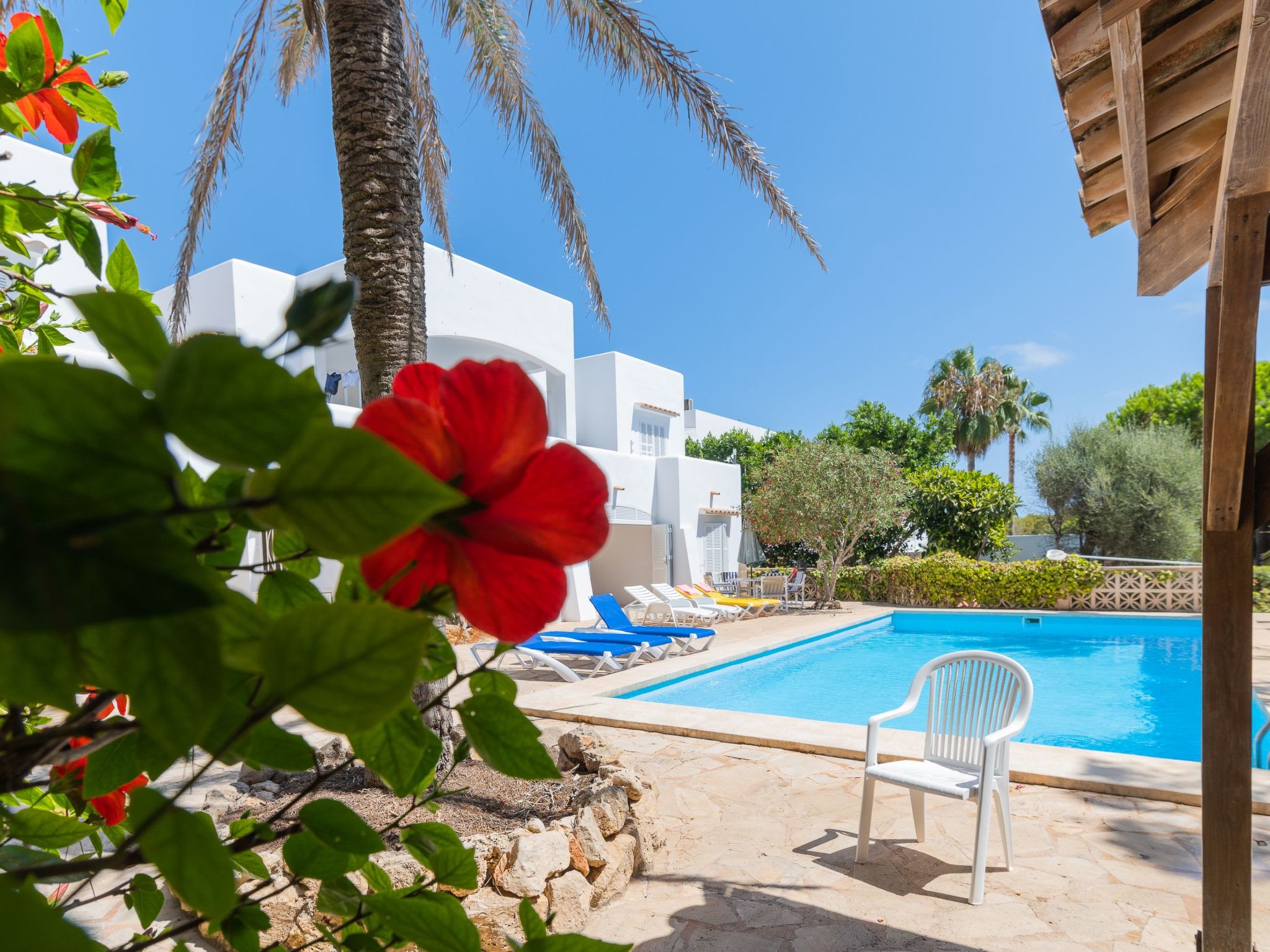 Lucia-Image-tags.info