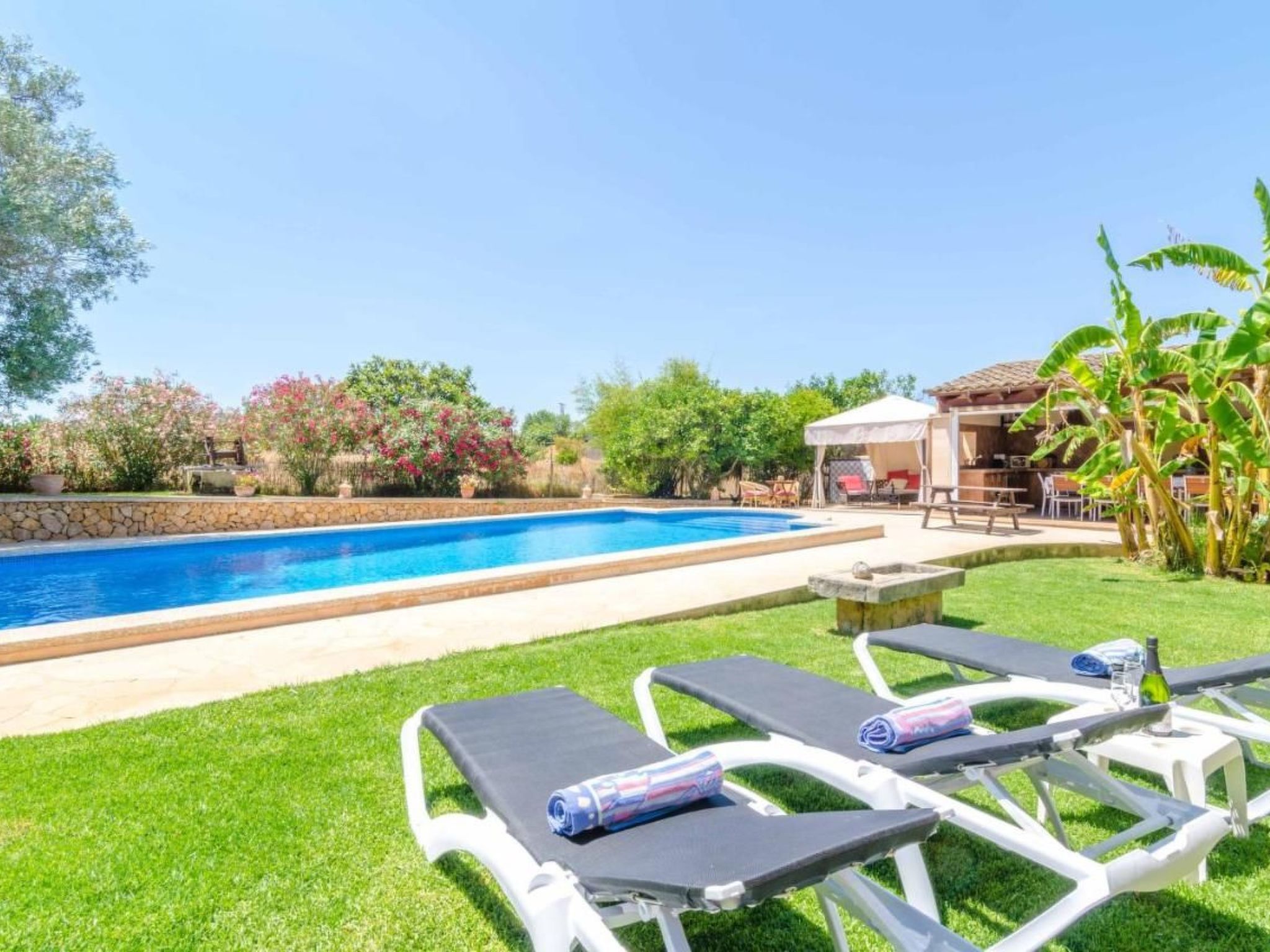 Porrassar-Image-tags.info