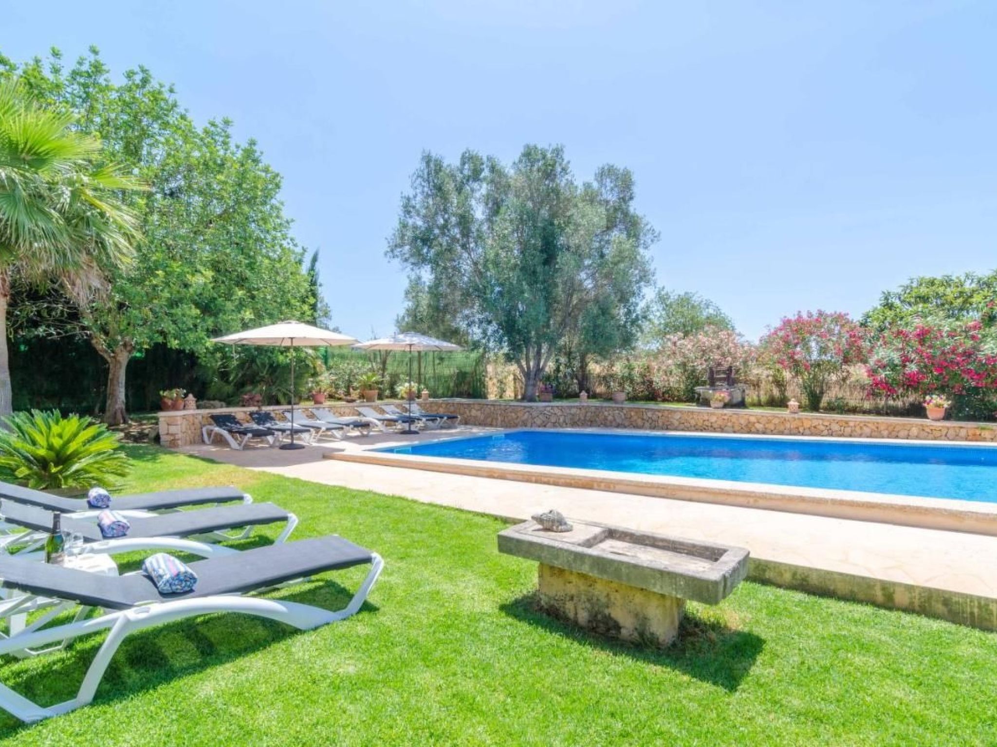 Porrassar-Image-tags.info