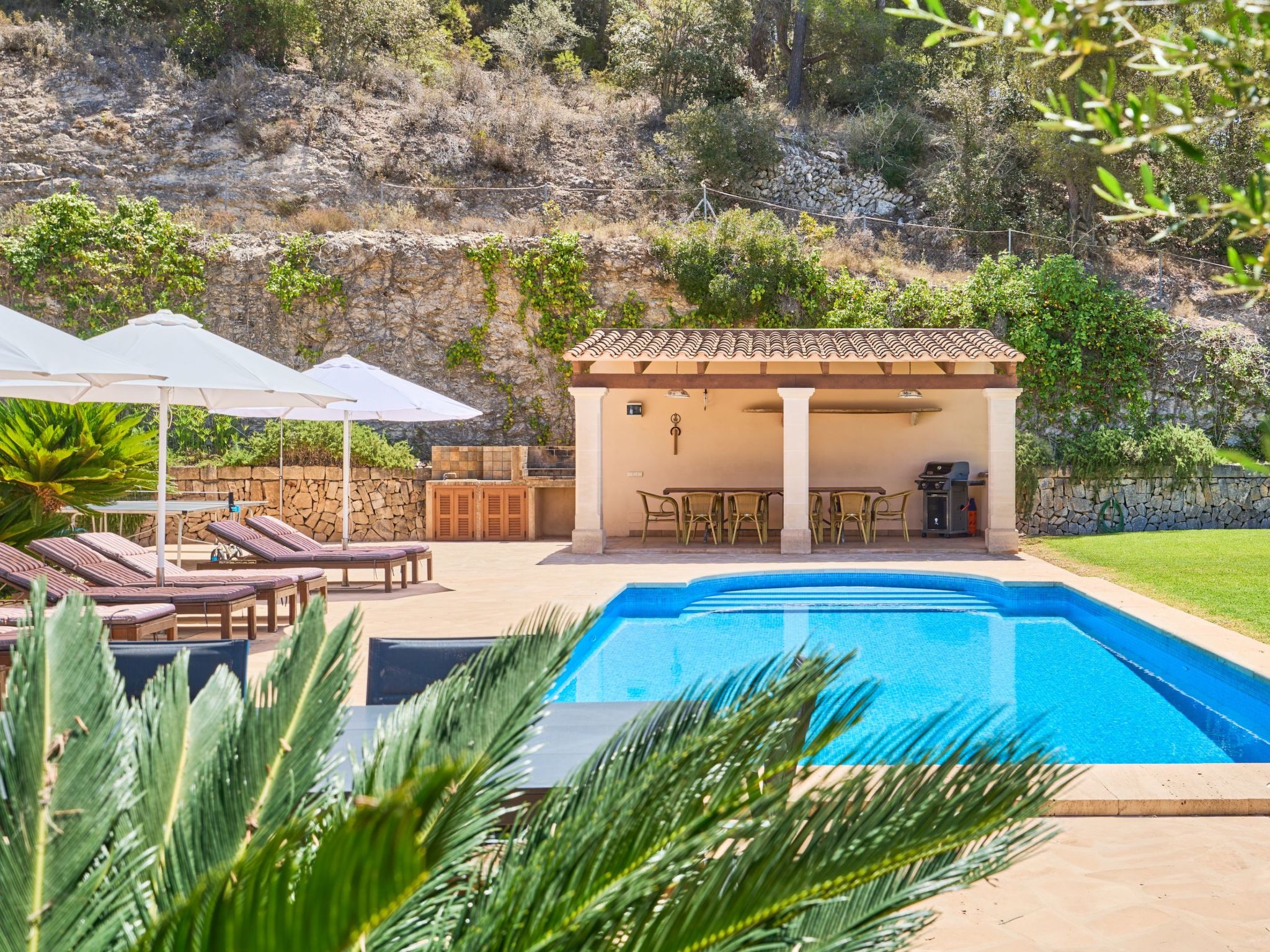 Carritxo-Image-tags.info