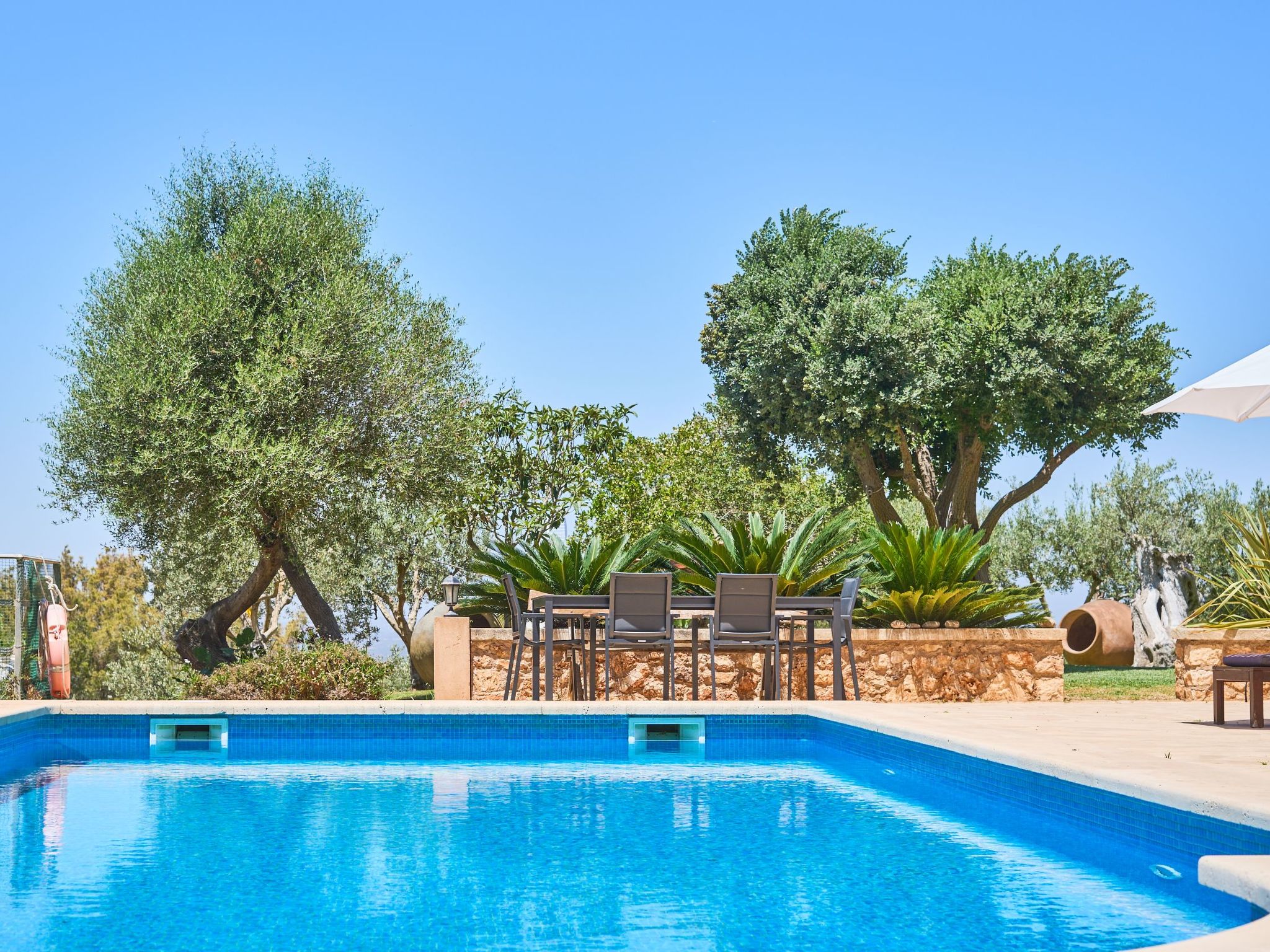 Carritxo-Image-tags.info