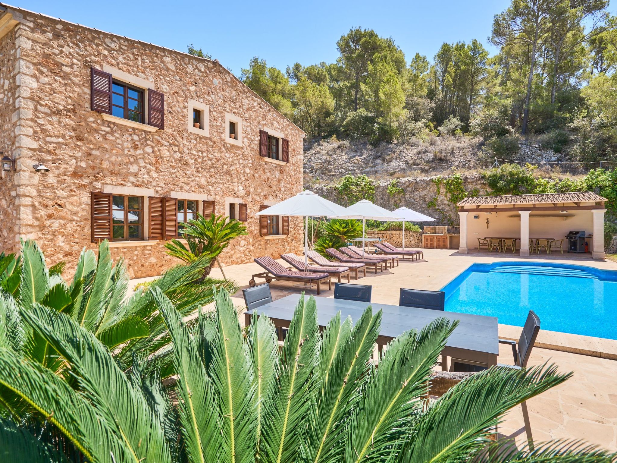 Carritxo-Image-tags.info