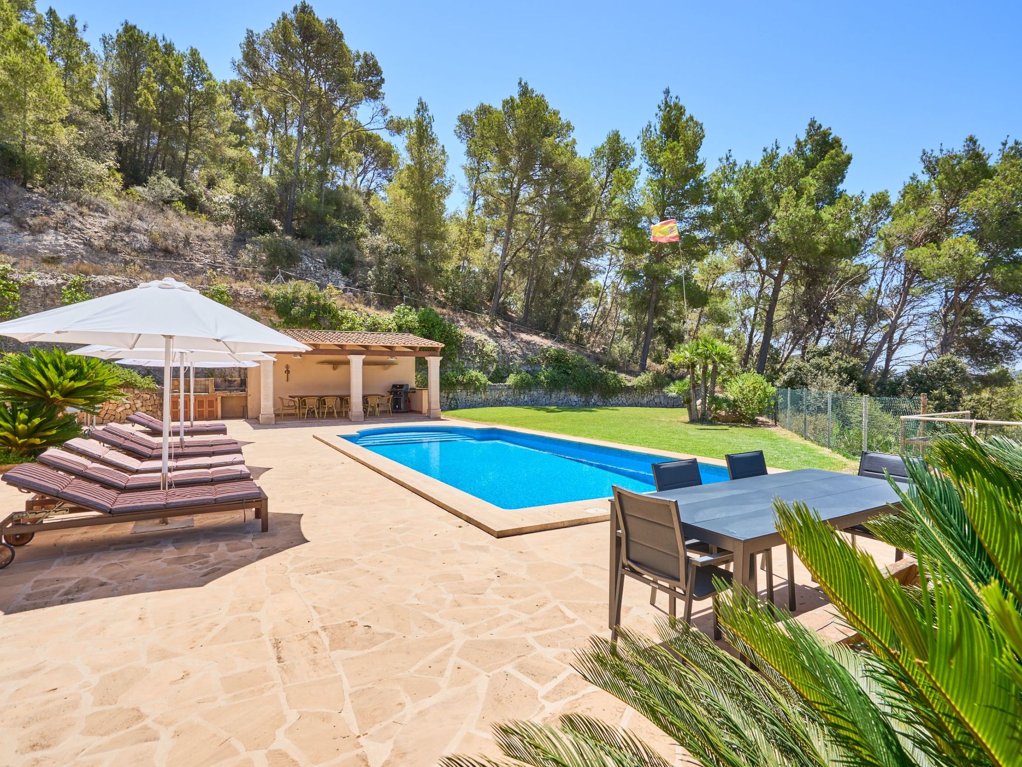 Carritxo-Image-tags.info