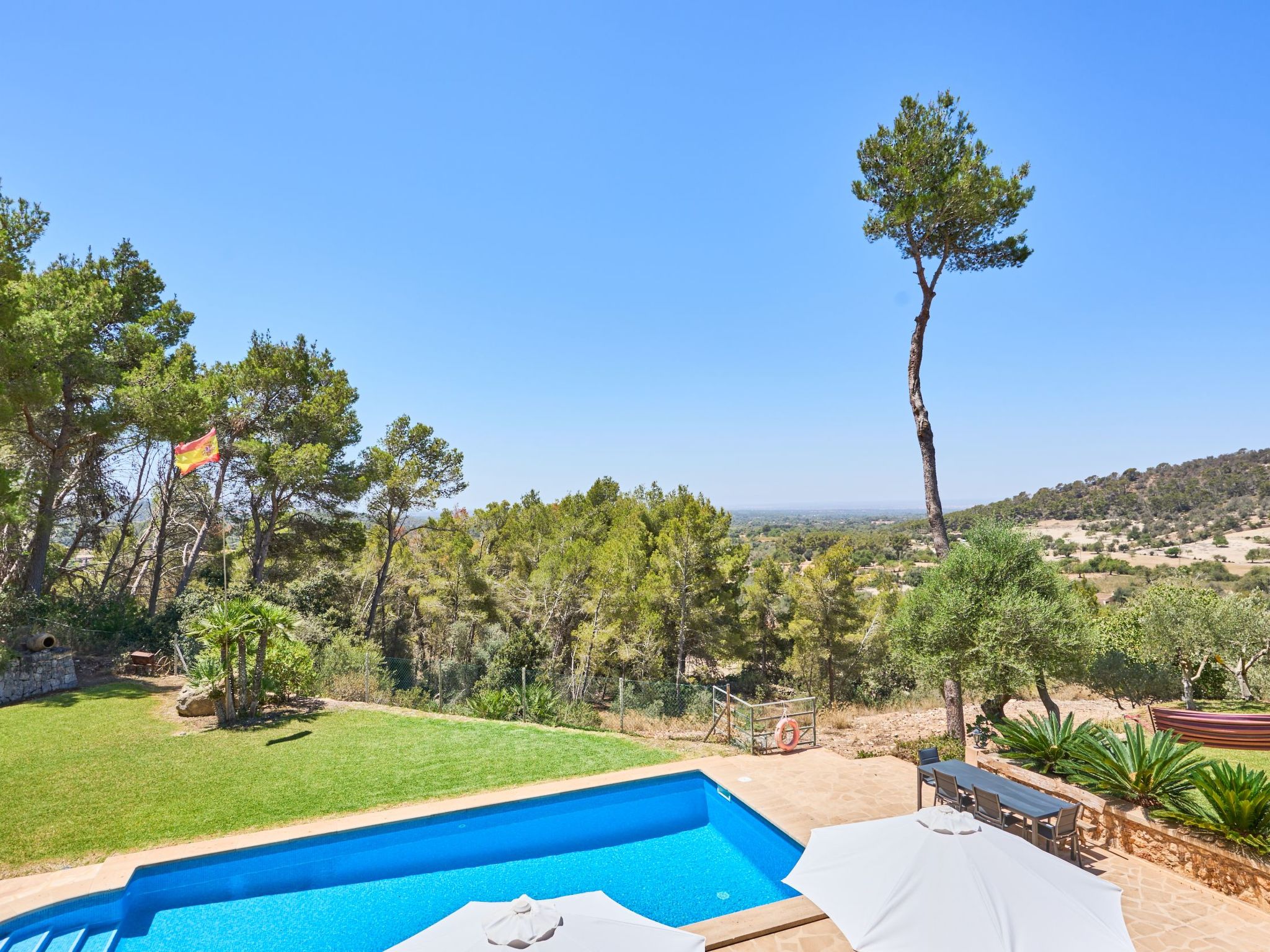 Carritxo-Image-tags.info