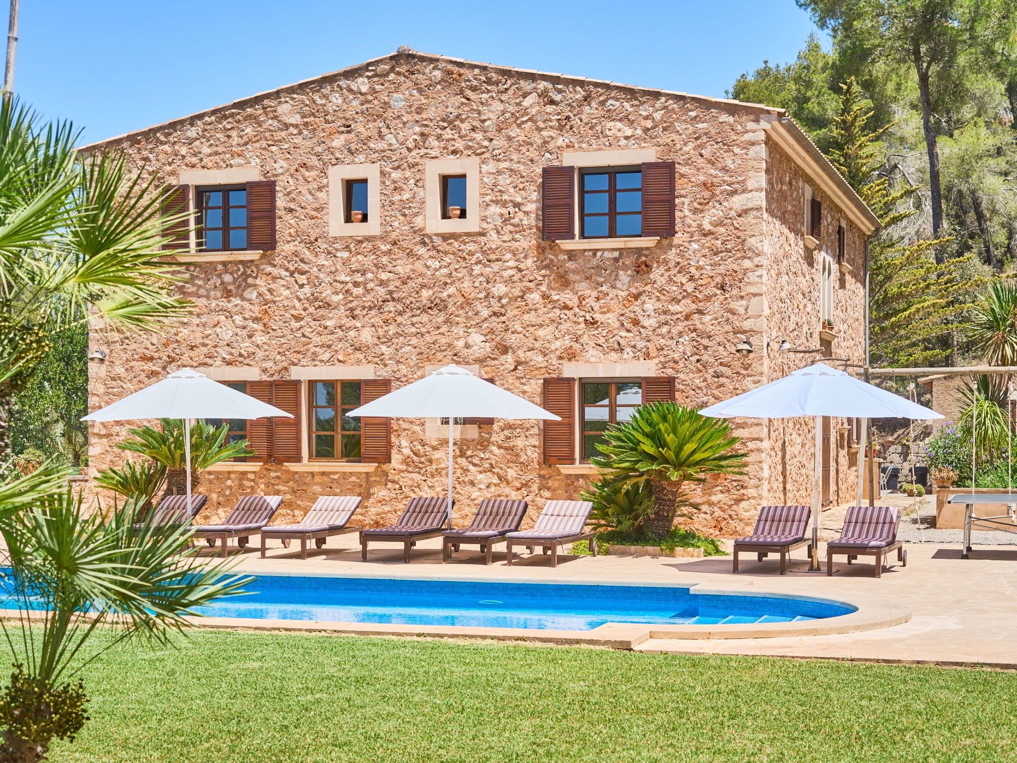 Carritxo-Image-tags.info