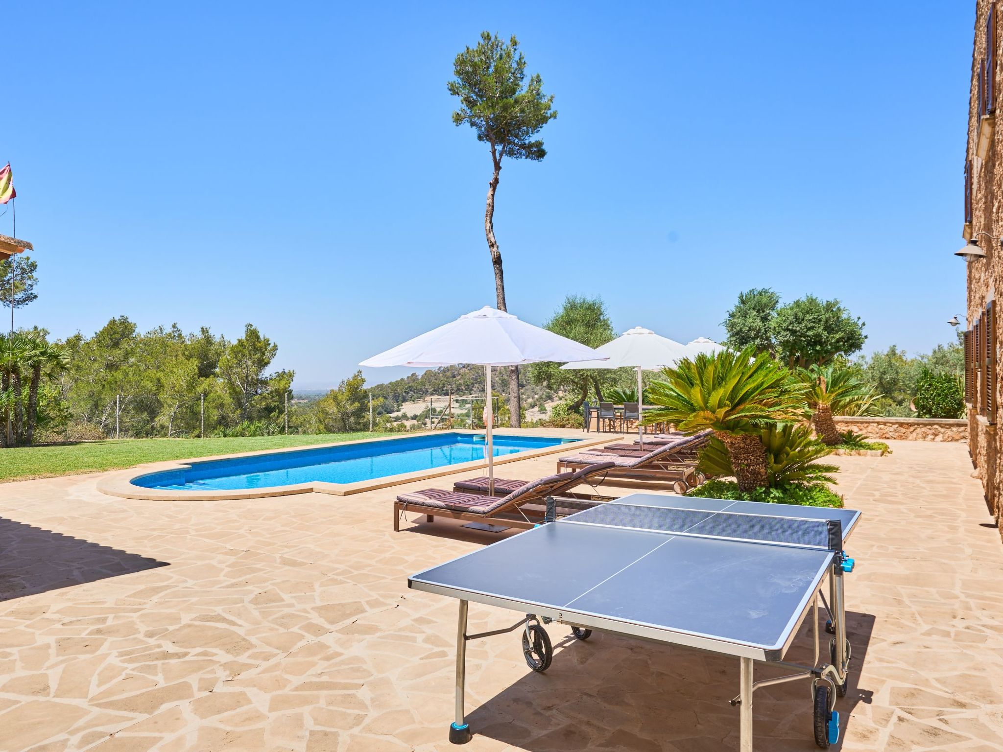 Carritxo-Image-tags.info