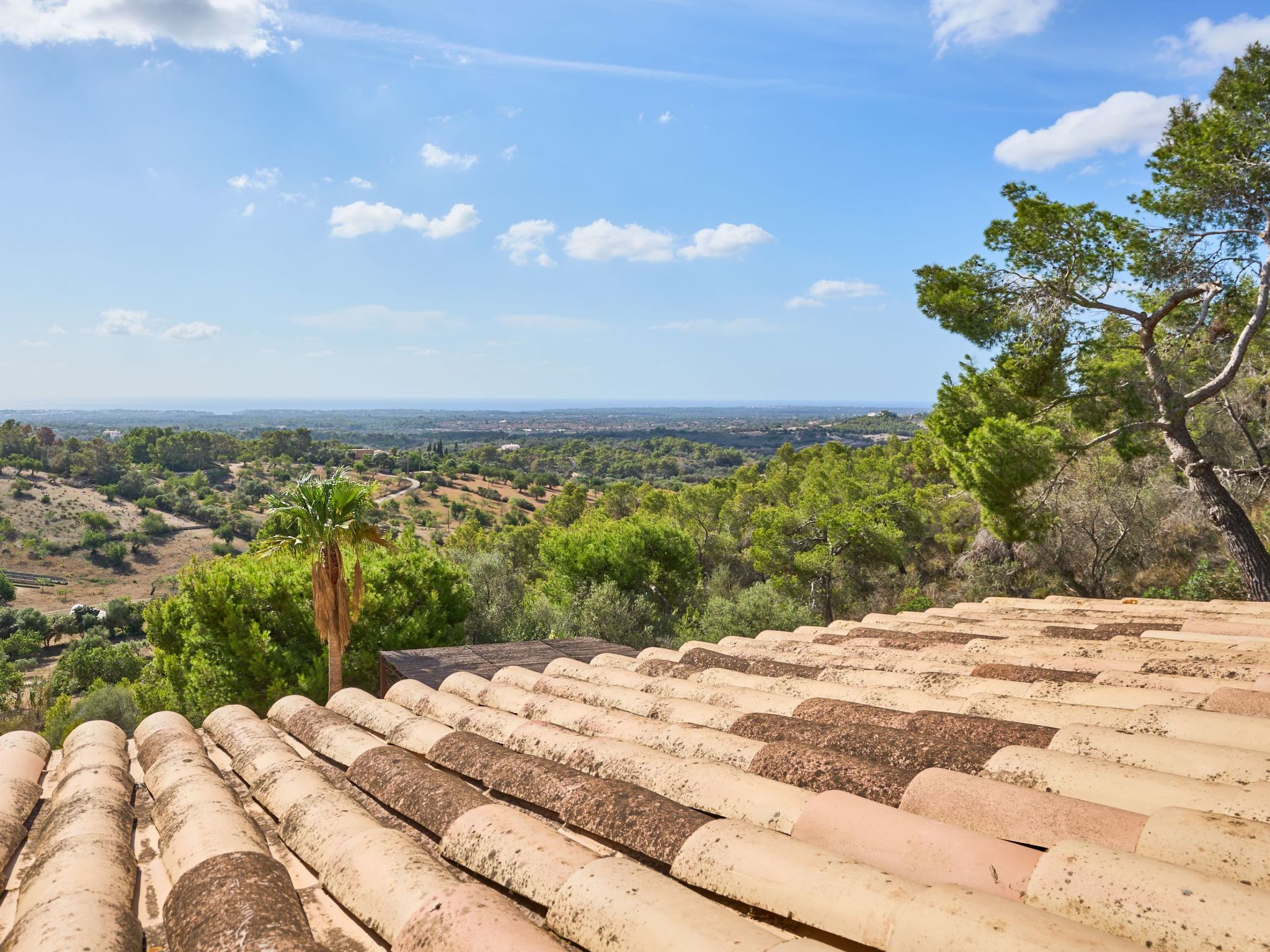 Puig de sa Figuera-Image-tags.info
