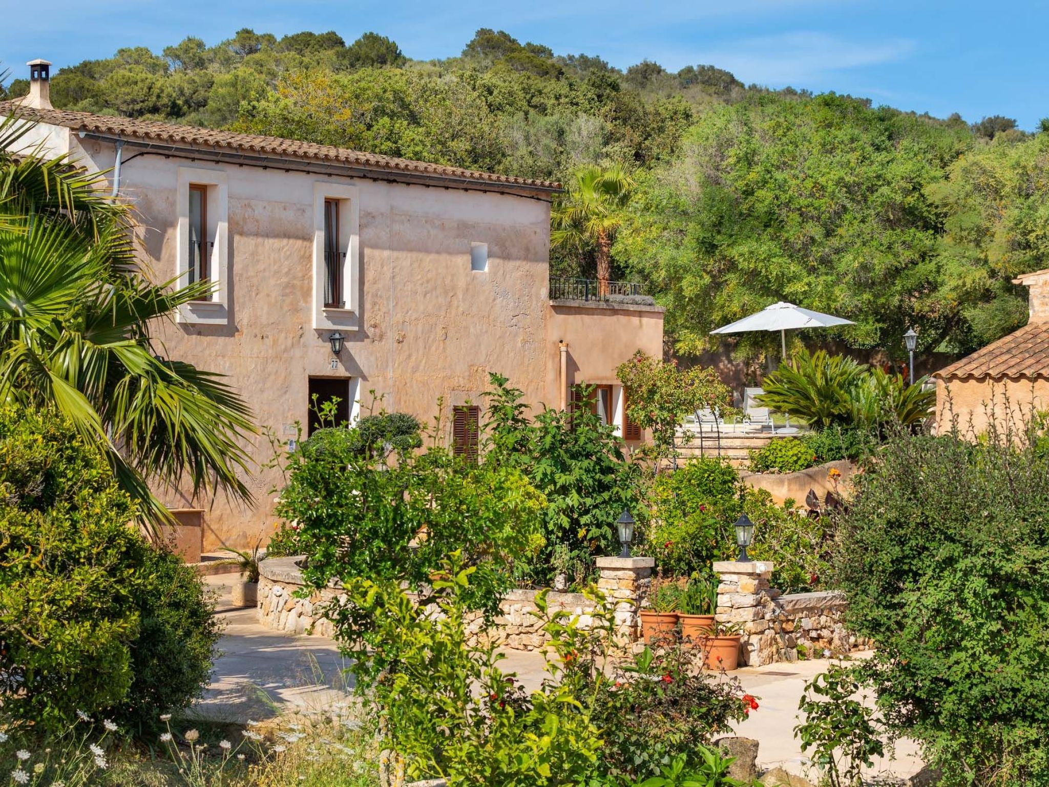 Cavea-Image-tags.info