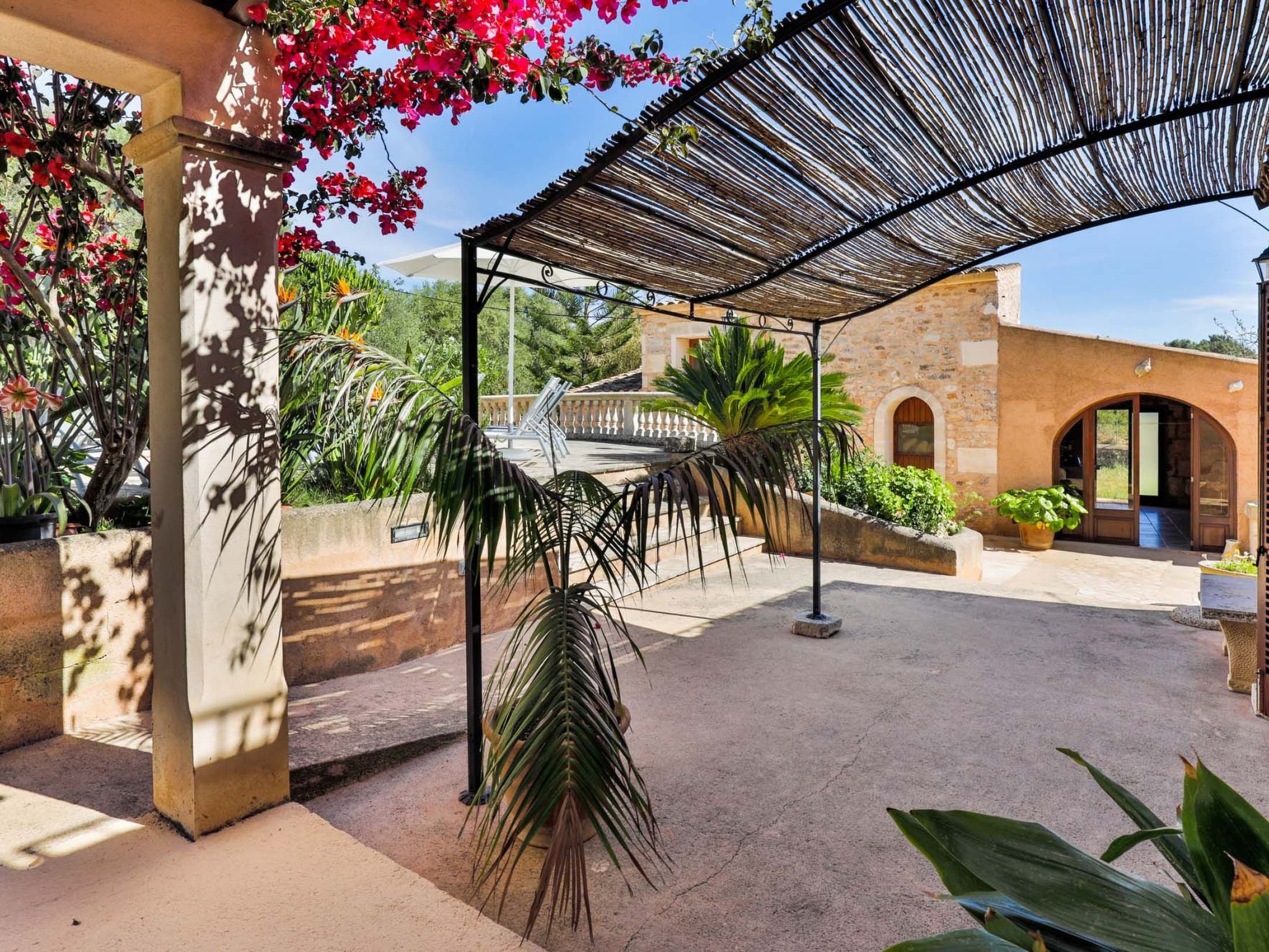 Cavea-Image-tags.info