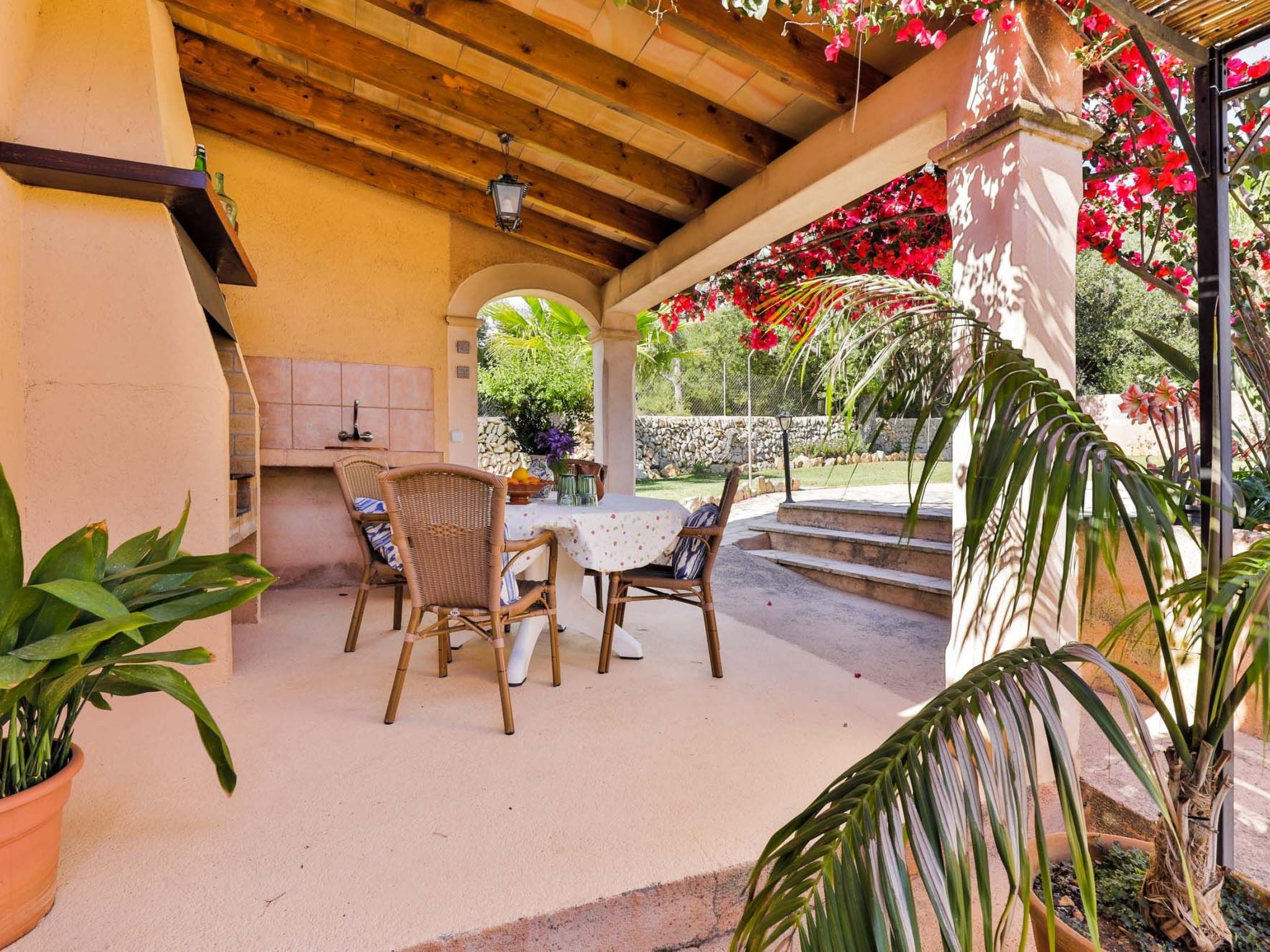 Cavea-Image-tags.info