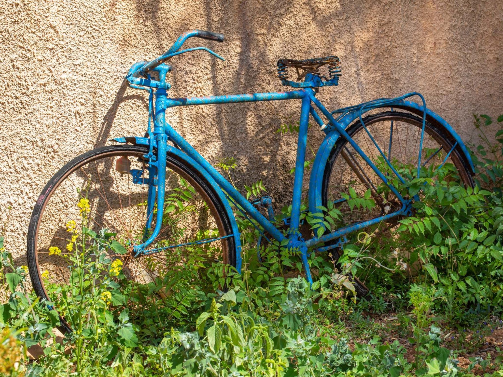 Cavea-Image-tags.info