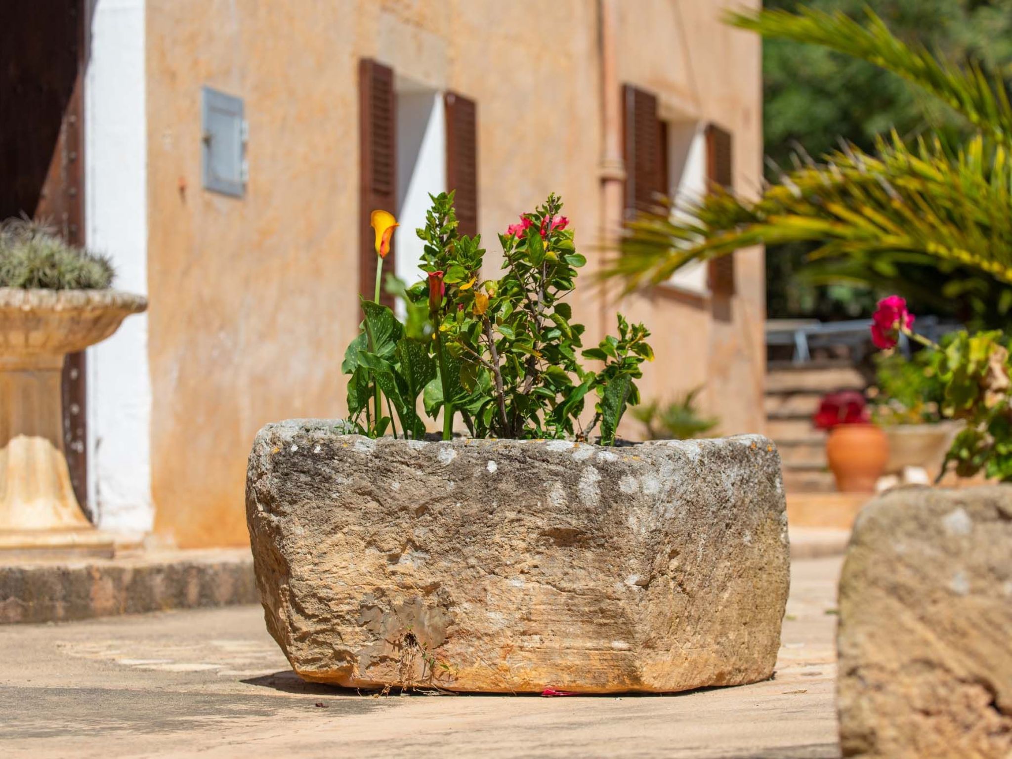 Cavea-Image-tags.info