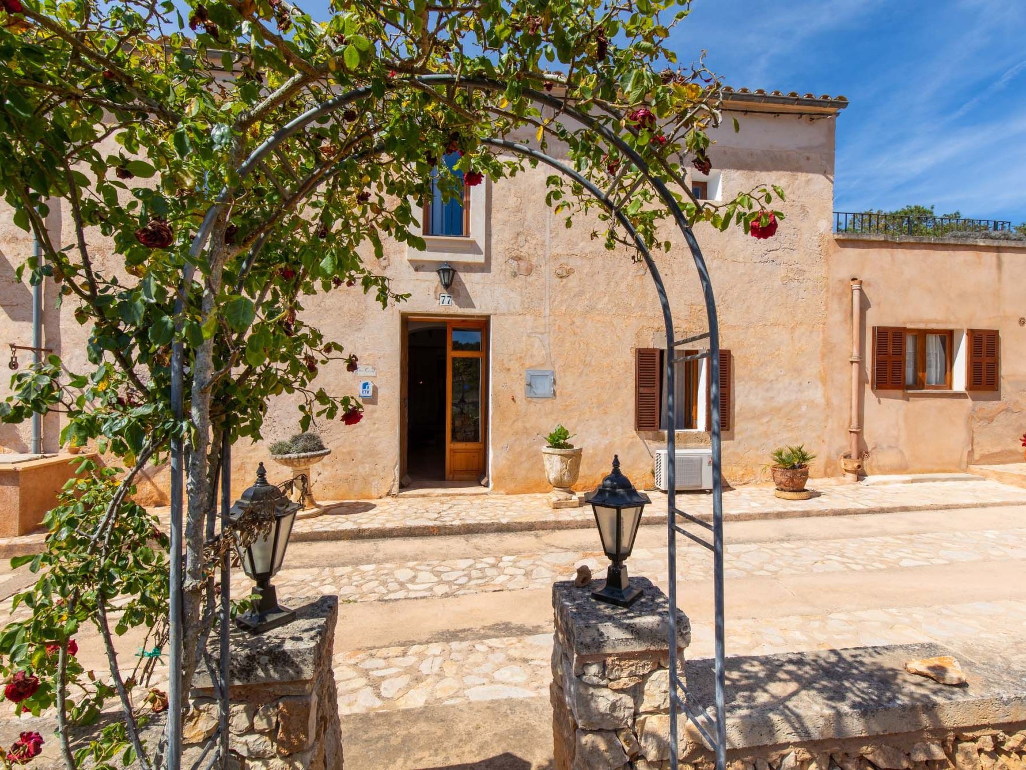 Cavea-Image-tags.info