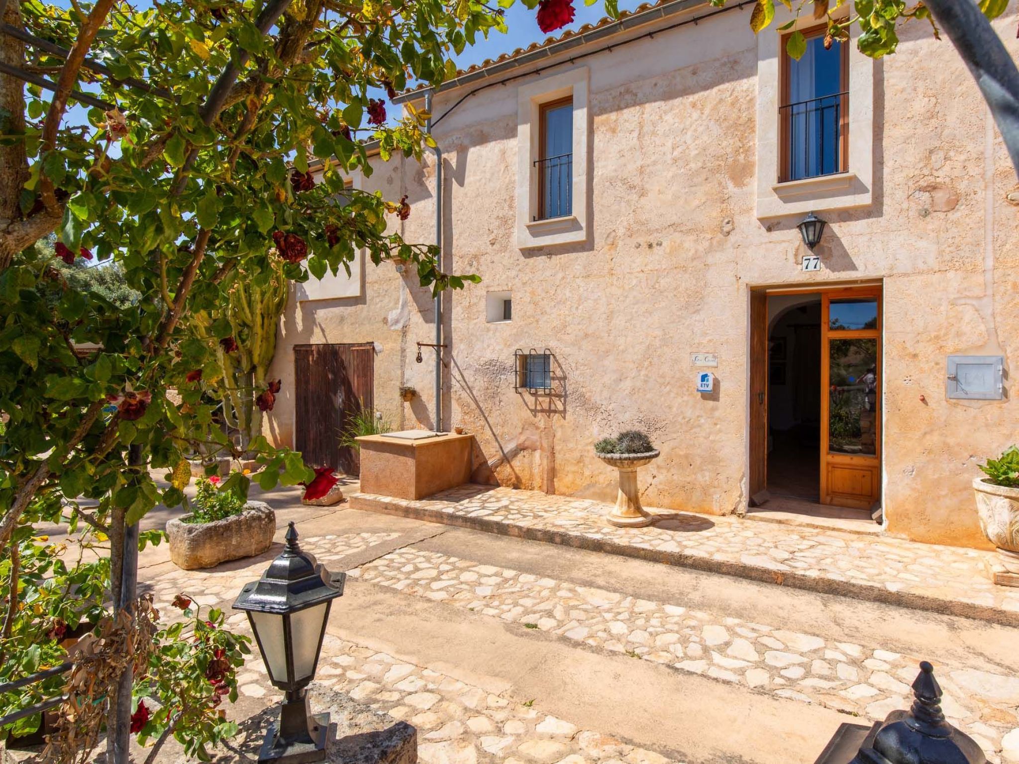 Cavea-Image-tags.info