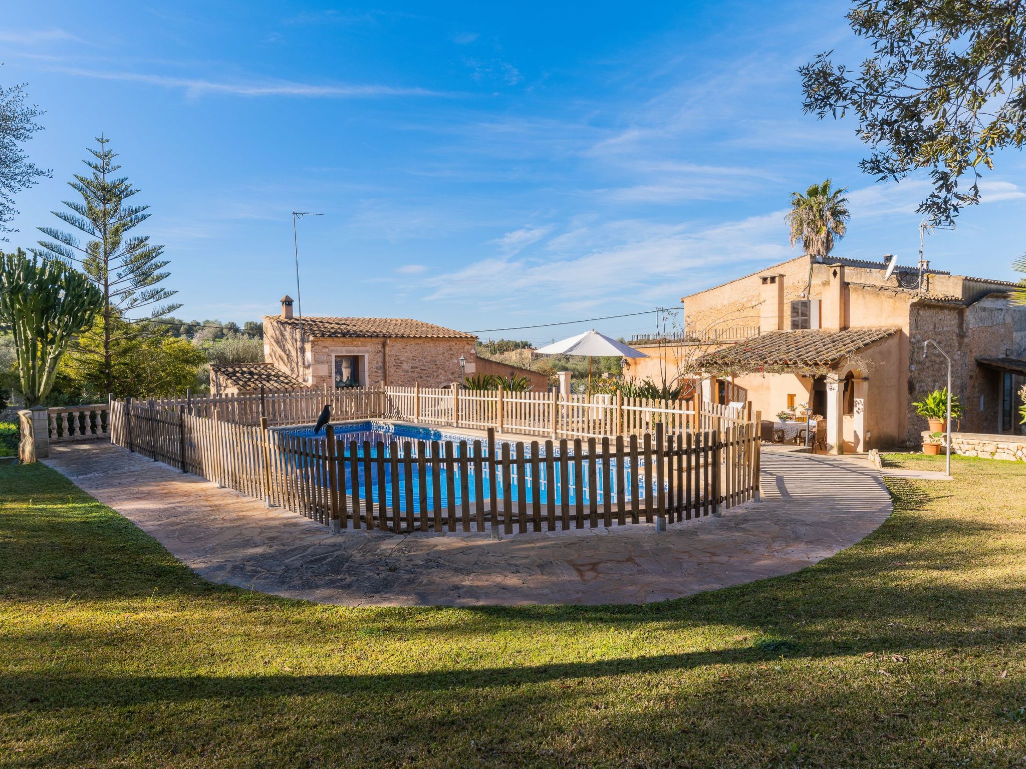 Cavea-Image-tags.info