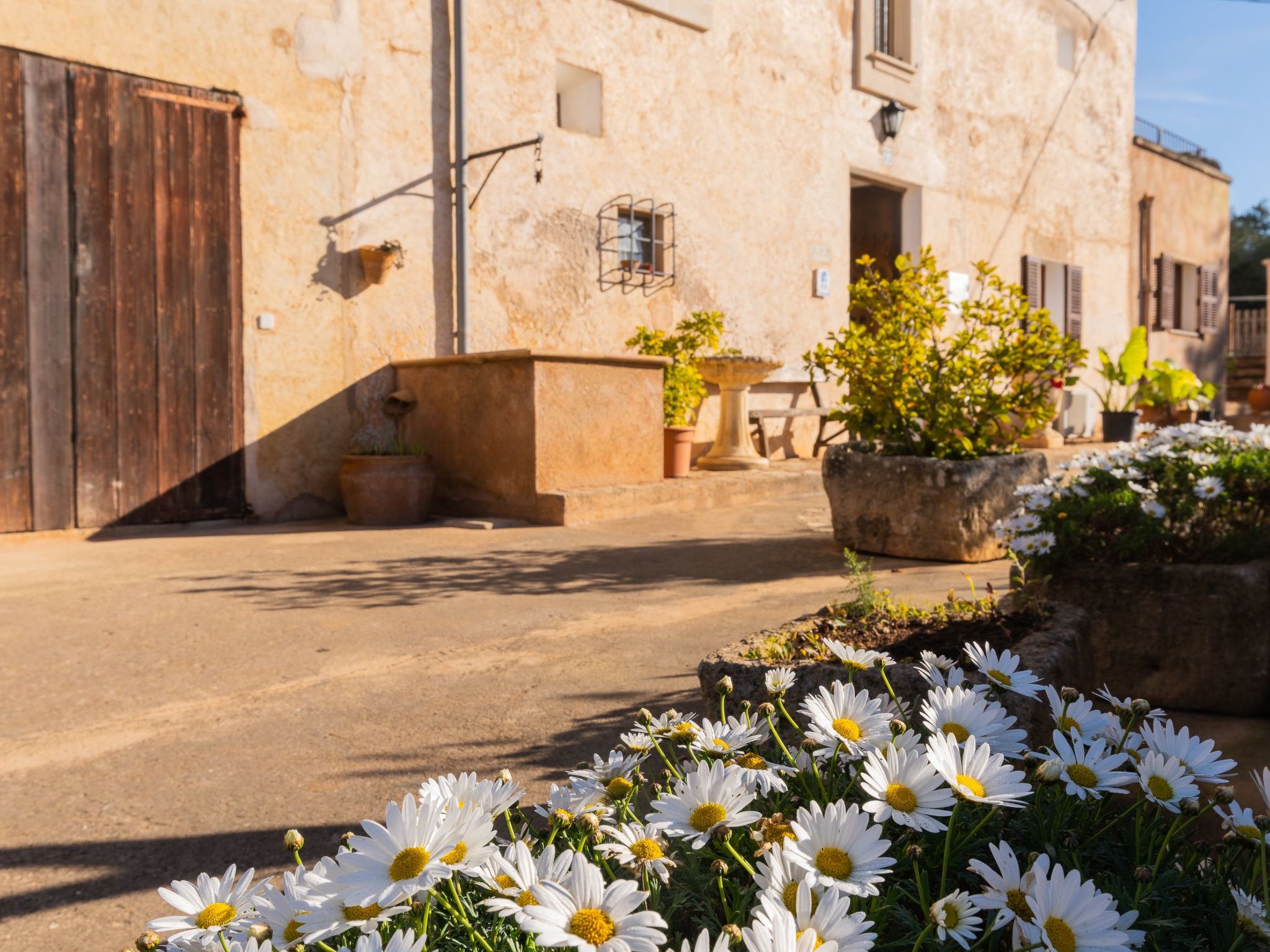 Cavea-Image-tags.info