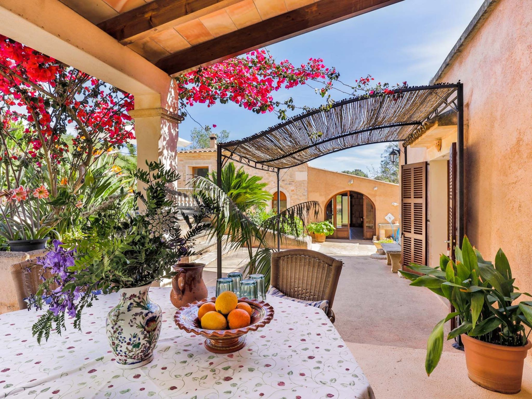 Cavea-Image-tags.info